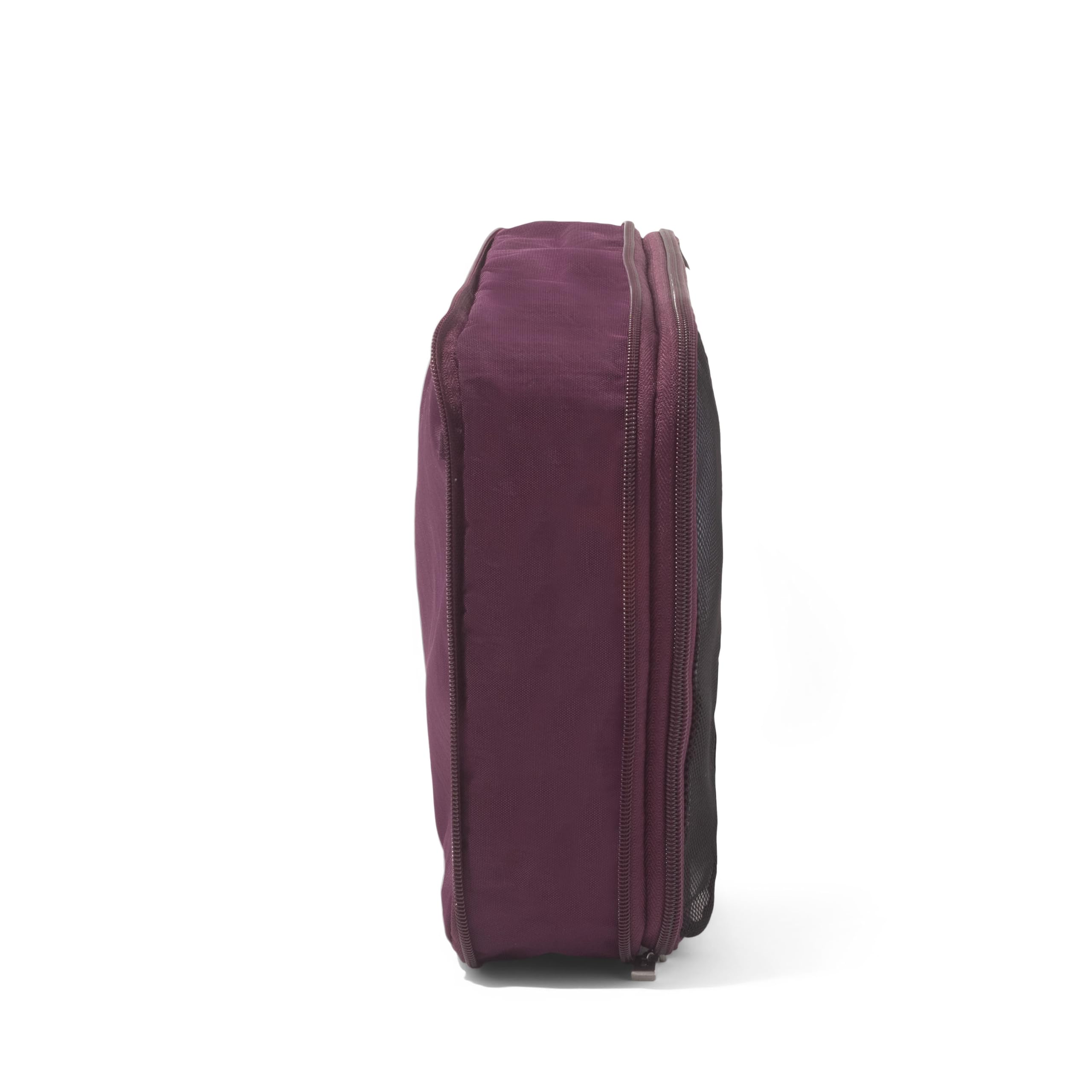 Mulberry