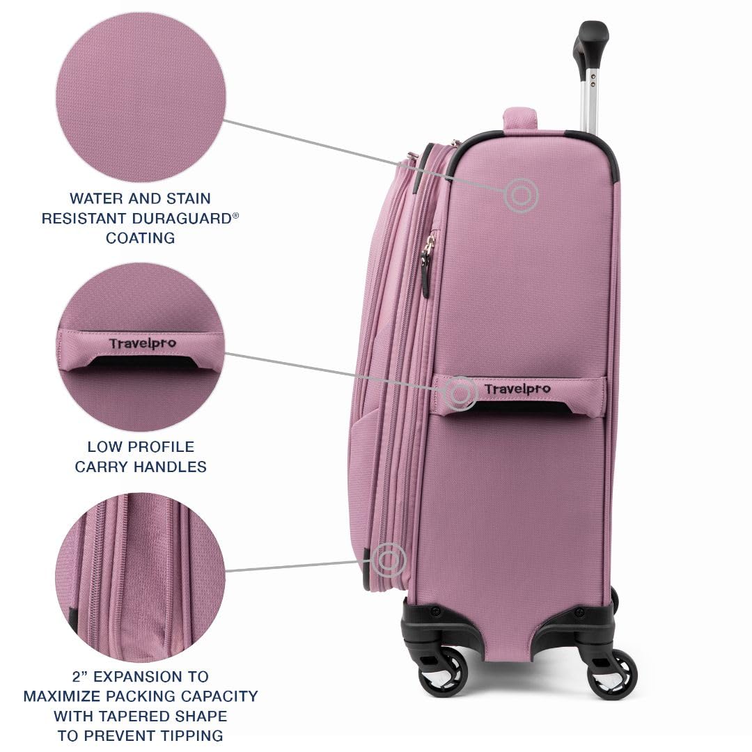 Orchid Pink Purple