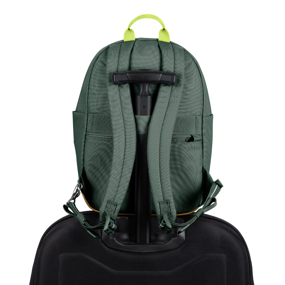 Spruce Green