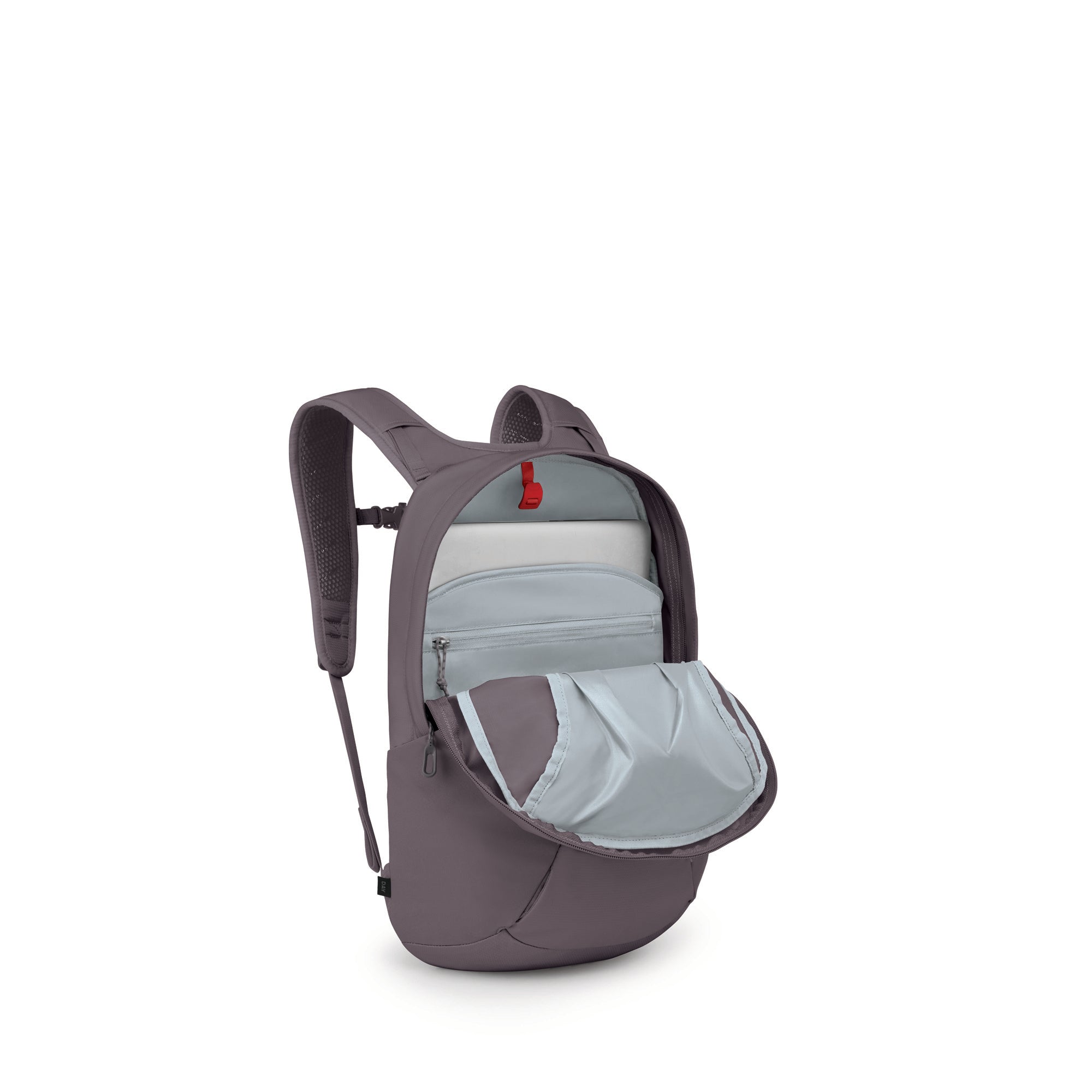Graphite Purple
