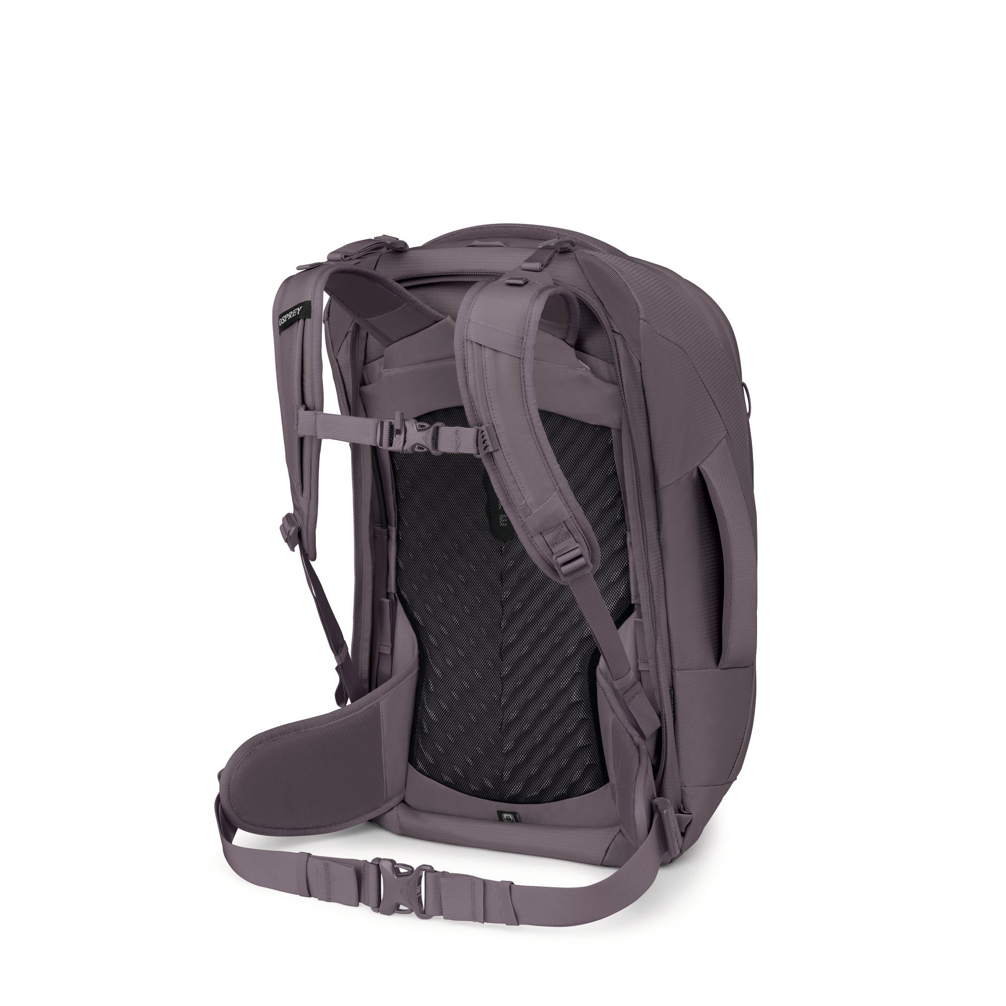 Graphite Purple
