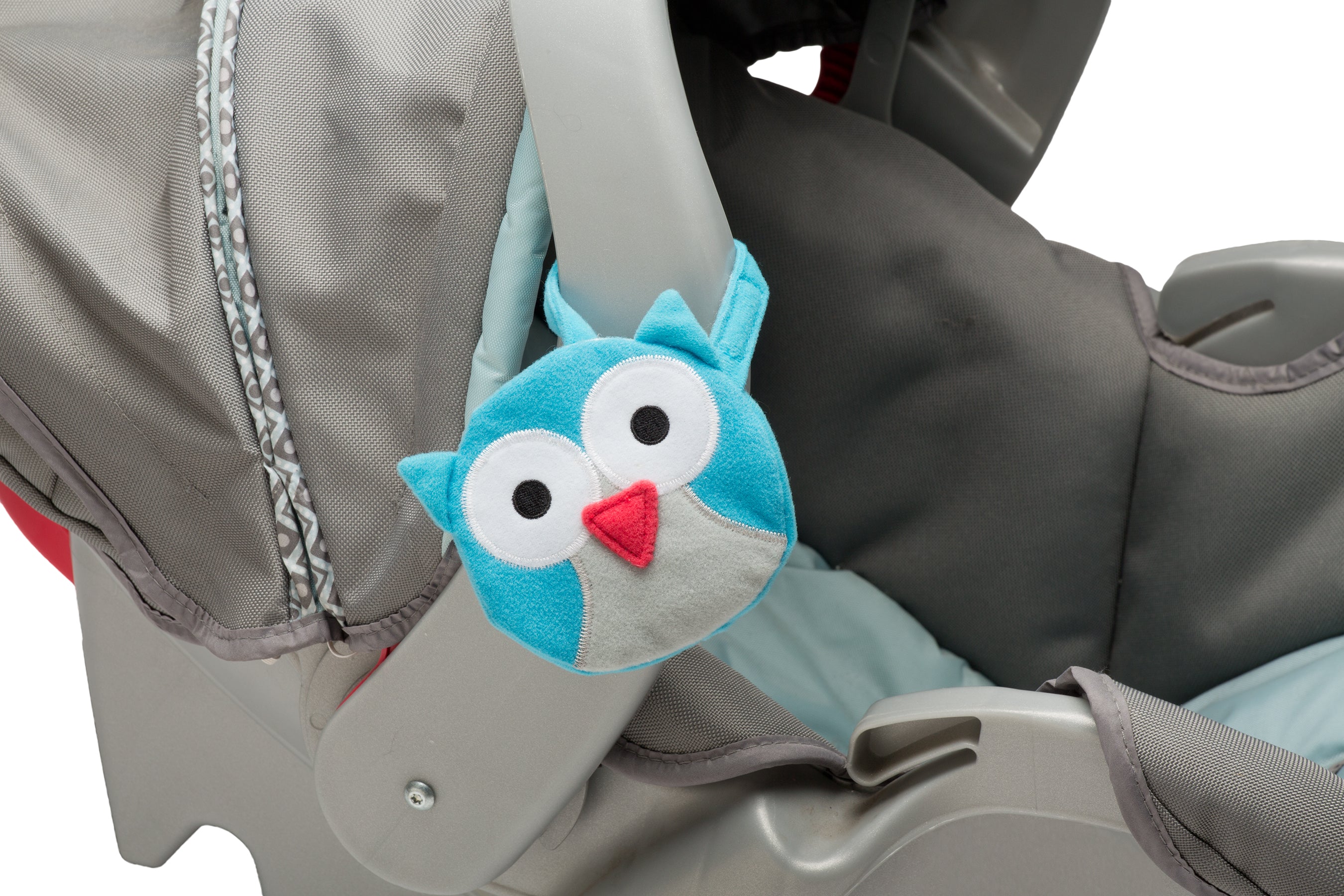 Teal Owl