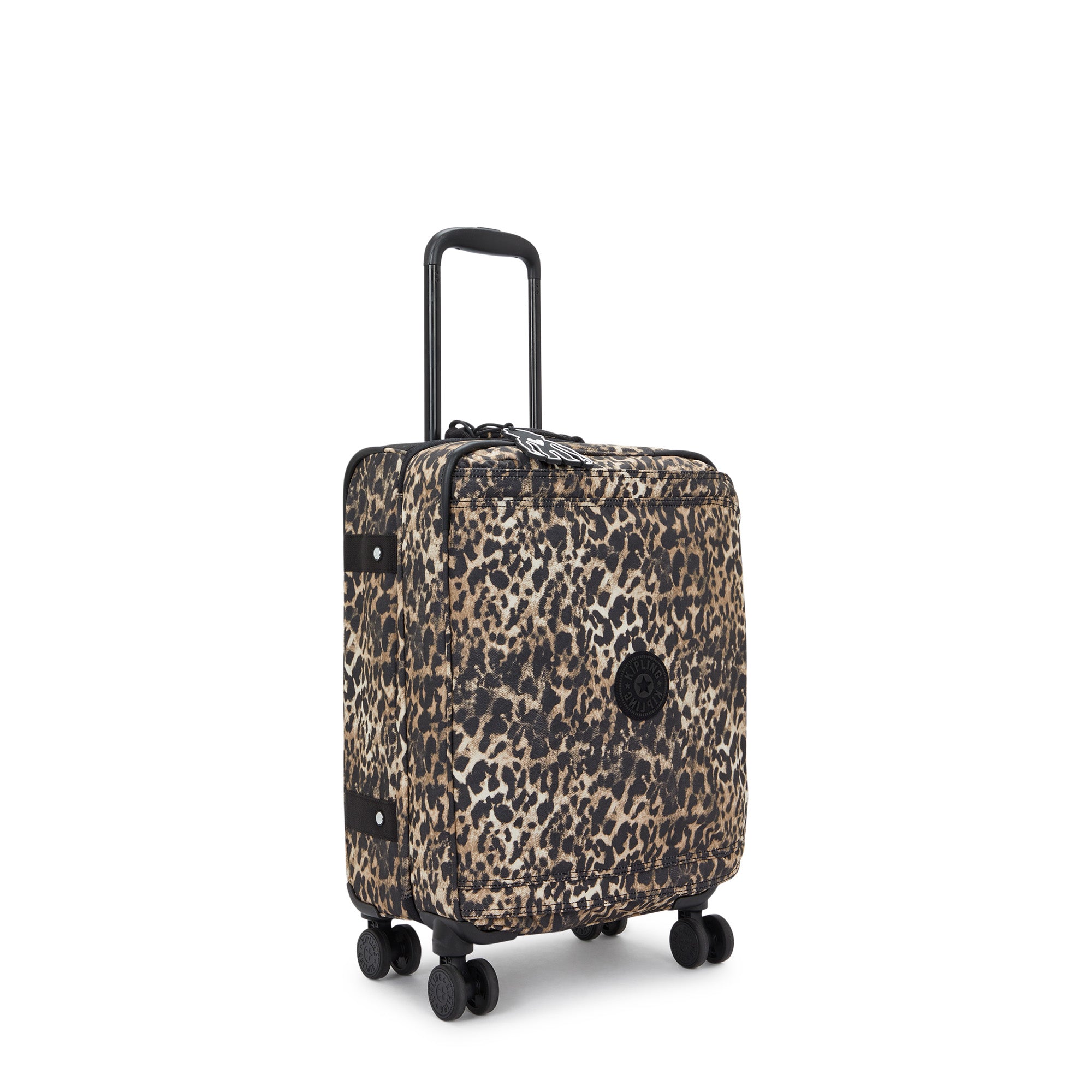 Wild Leopard
