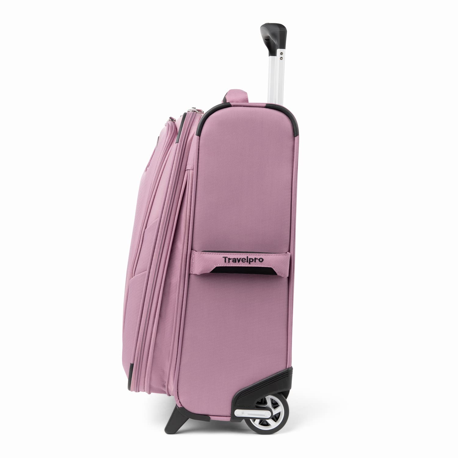 Orchid Pink Purple