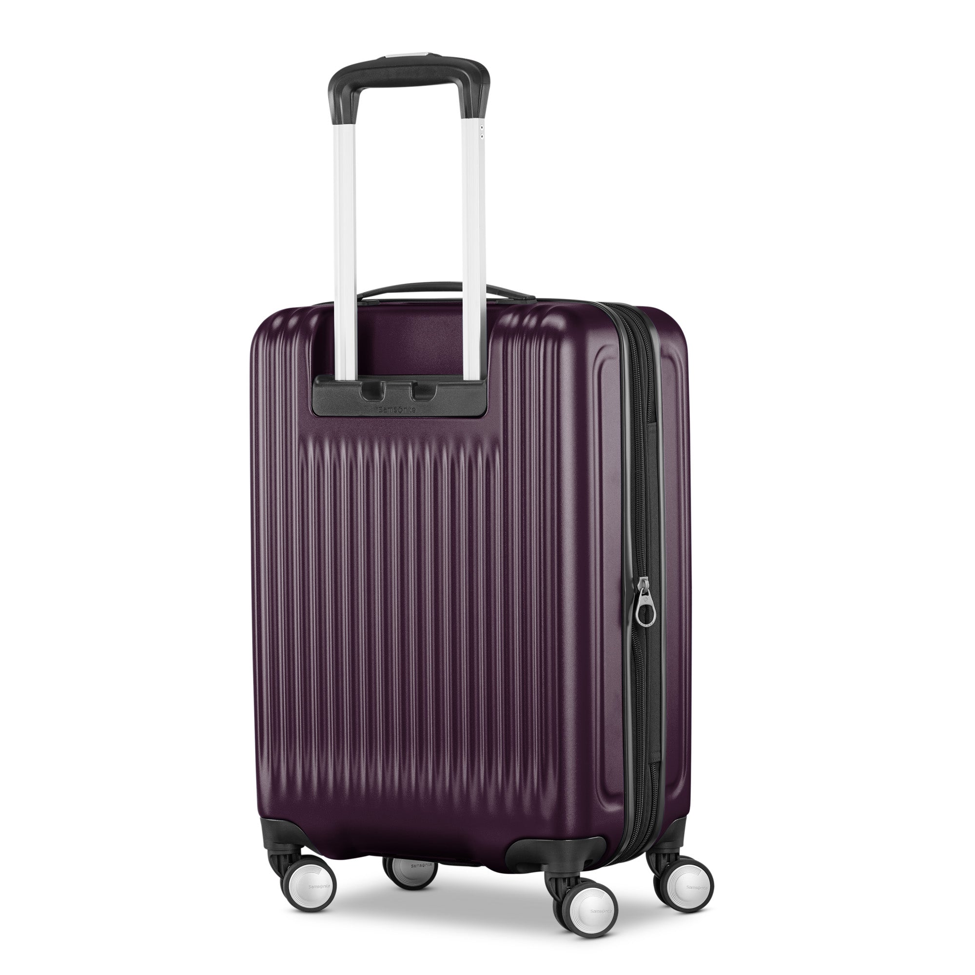 Plum/Blossom