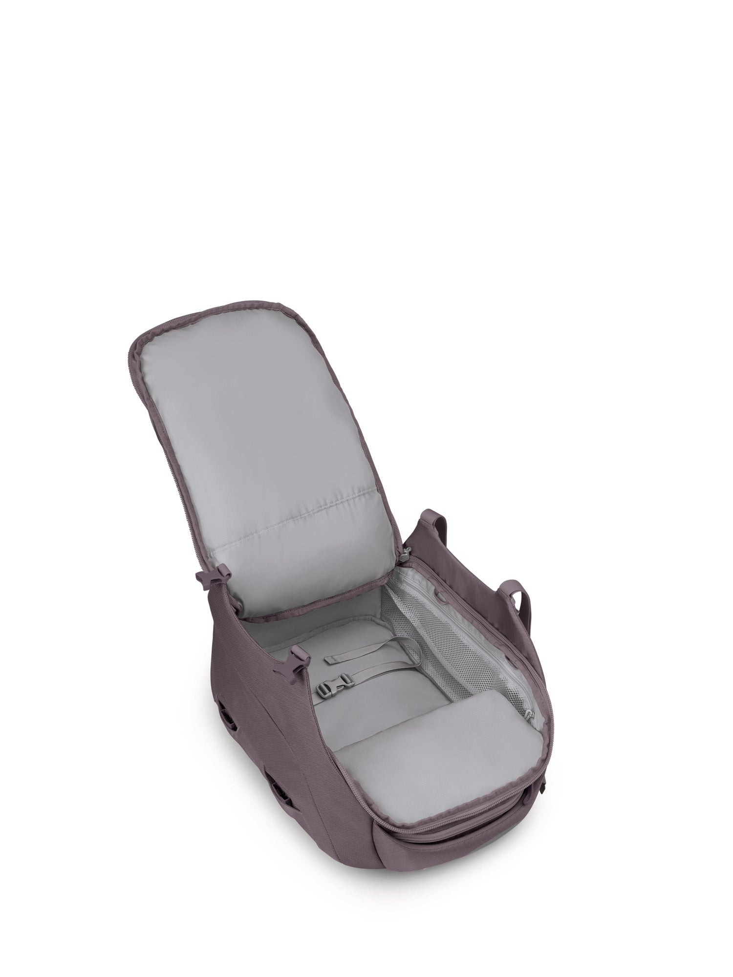 Graphite Purple