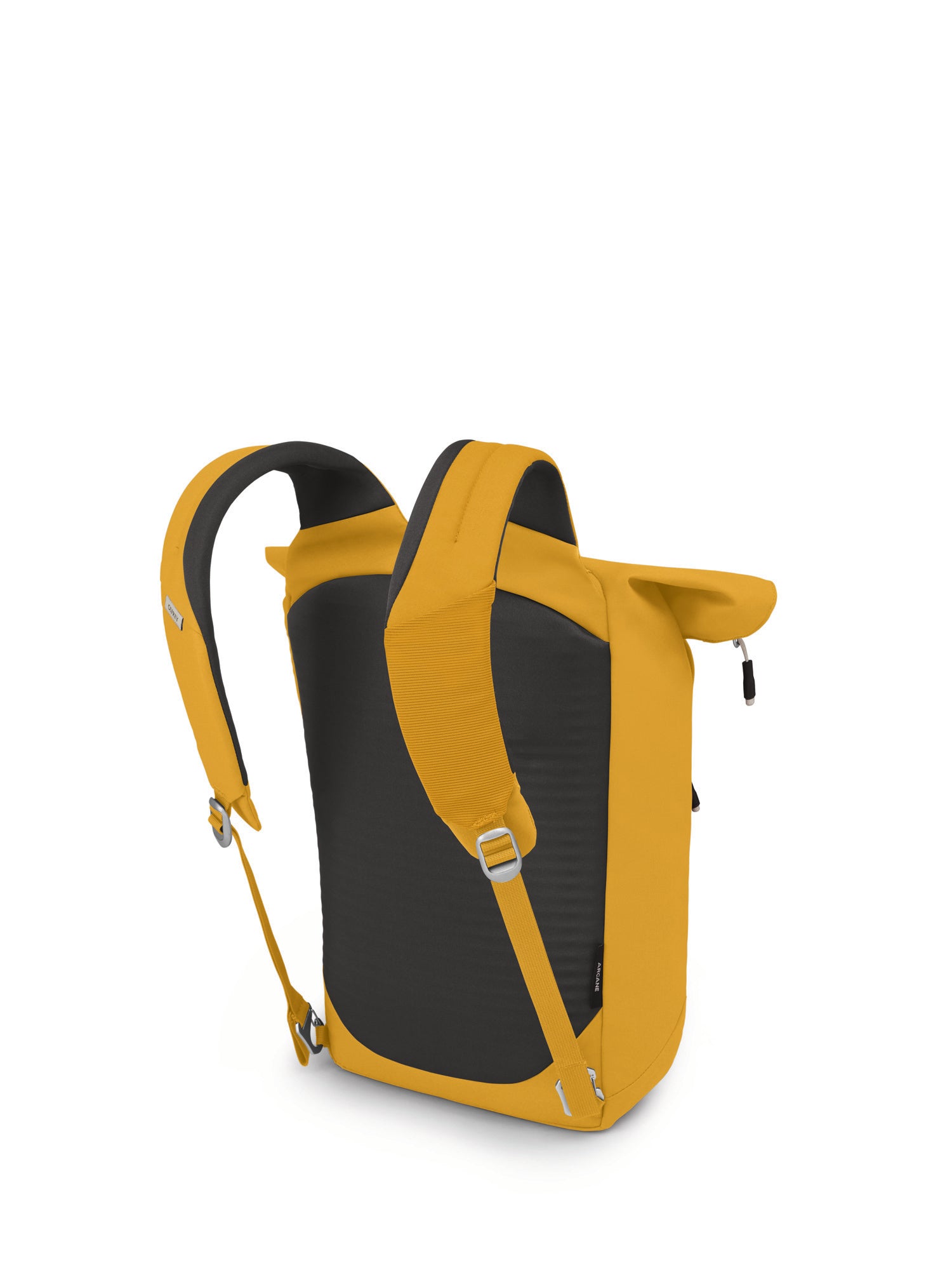 Honeybee Yellow