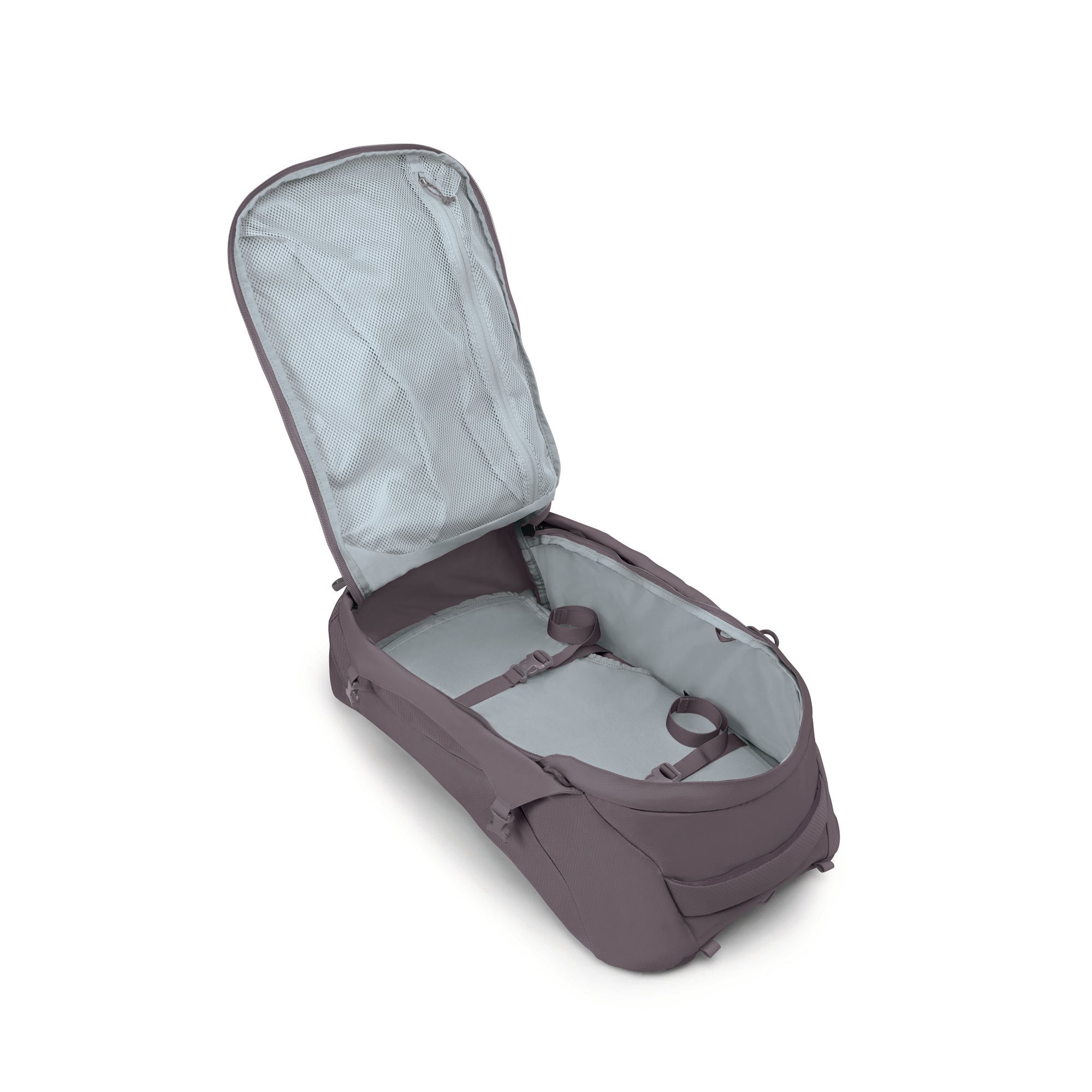 Graphite Purple