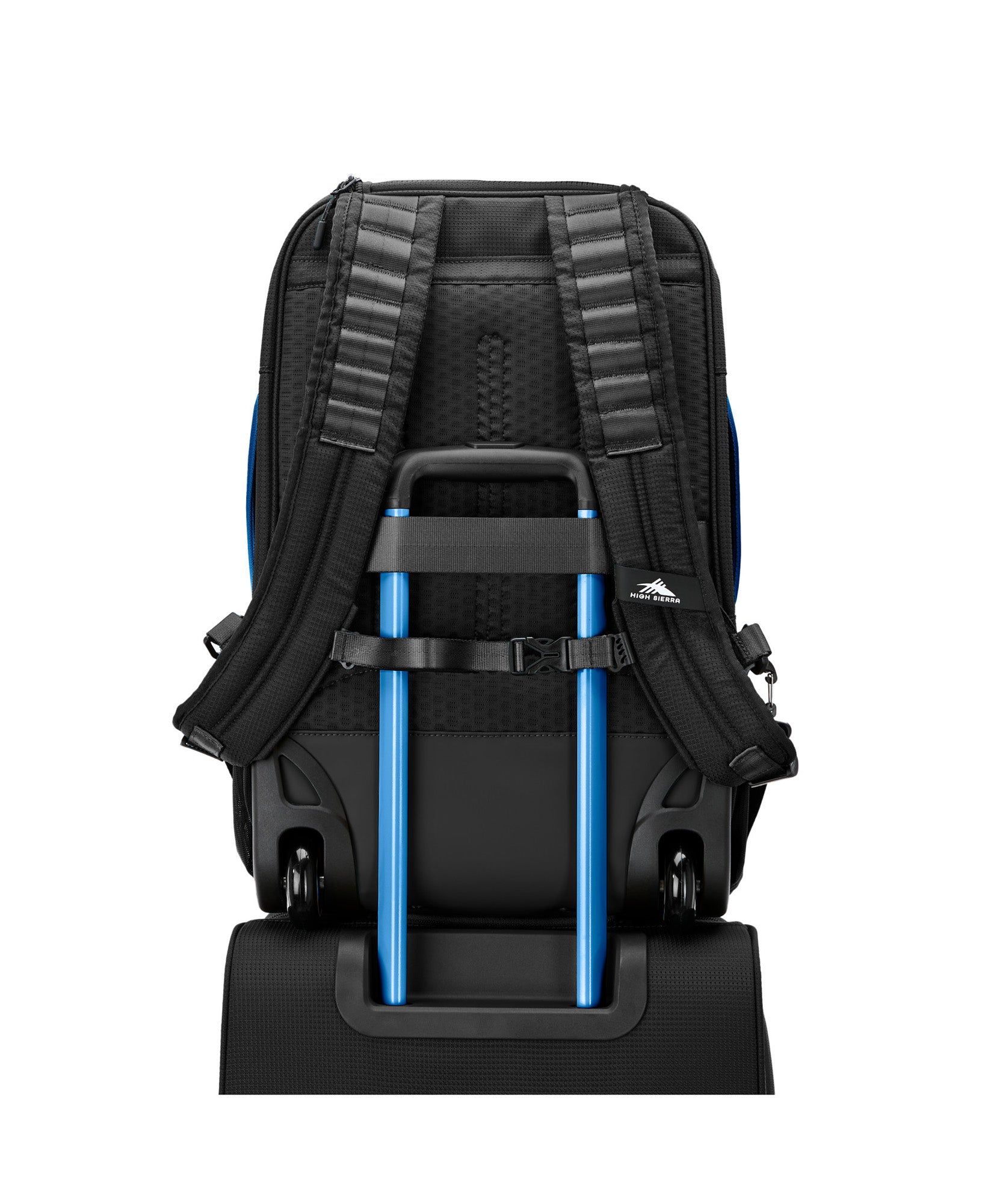 Black/Blue