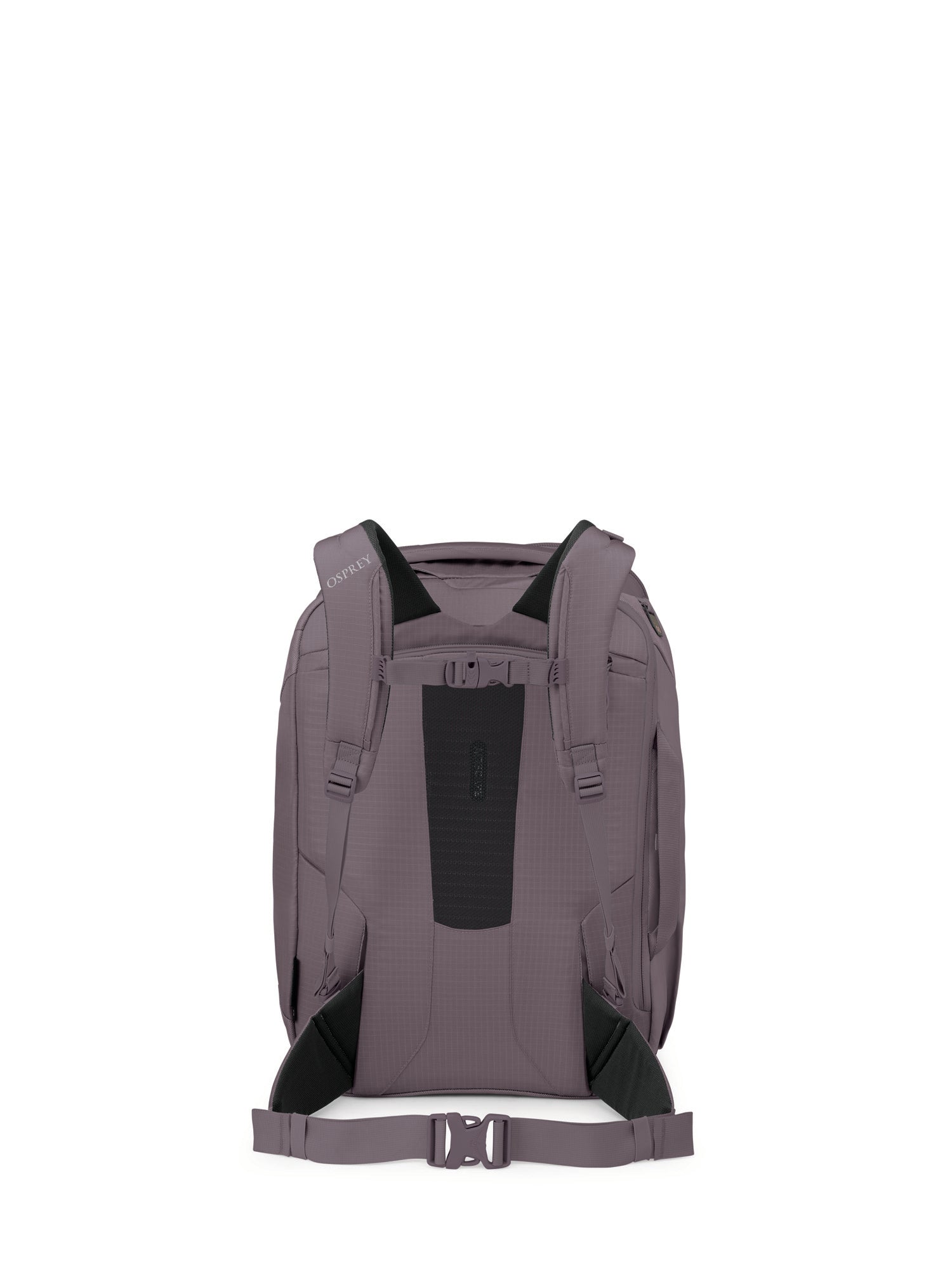 Graphite Purple