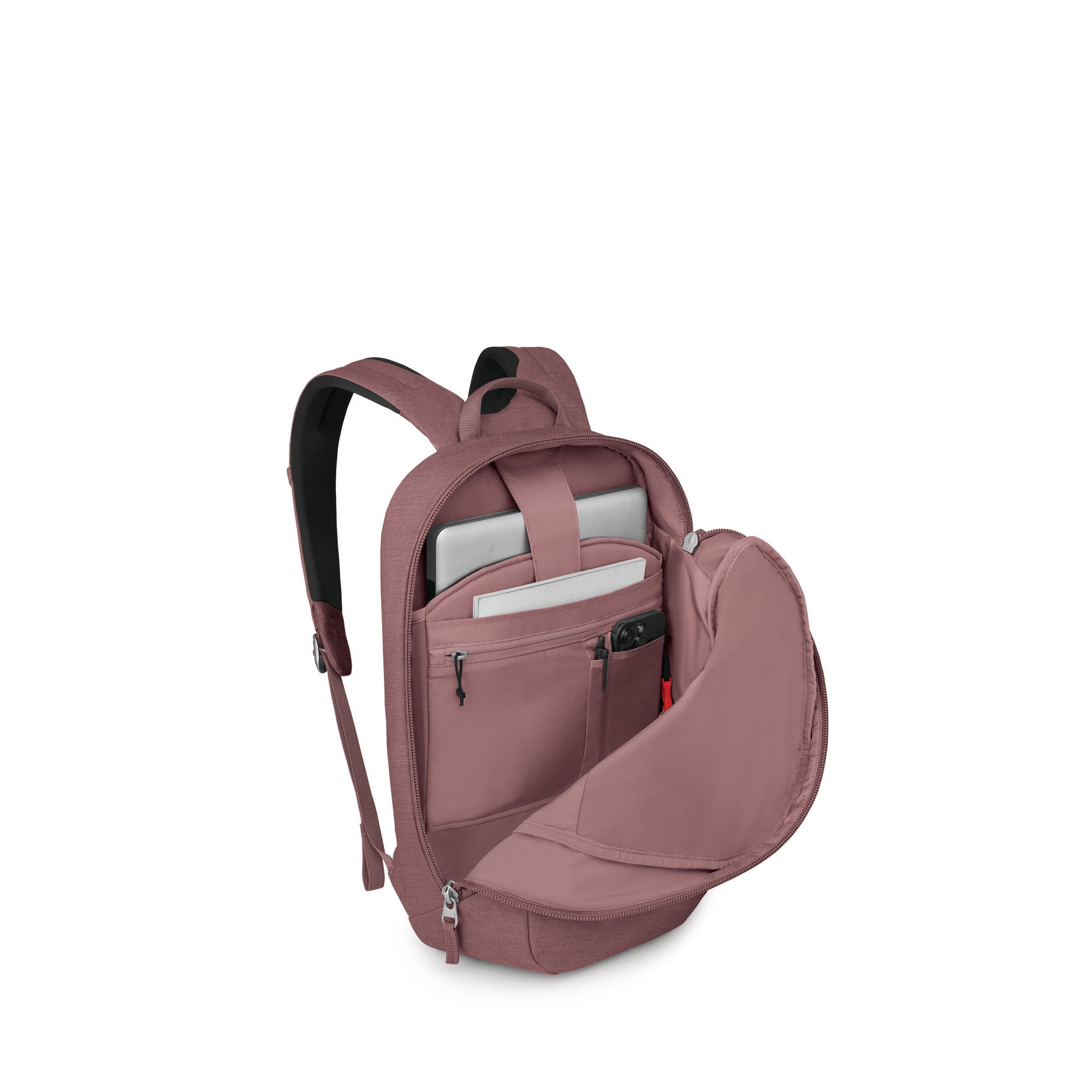 Purple Garnet Heather