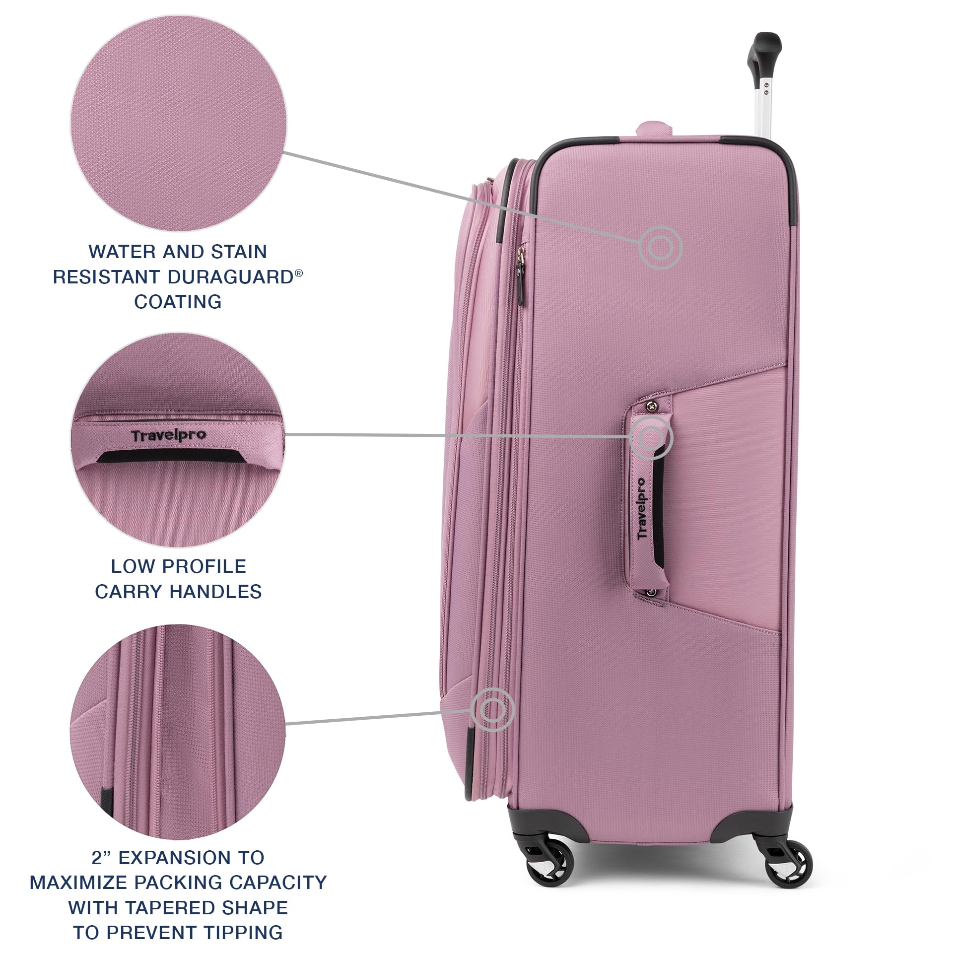 Orchid Pink Purple