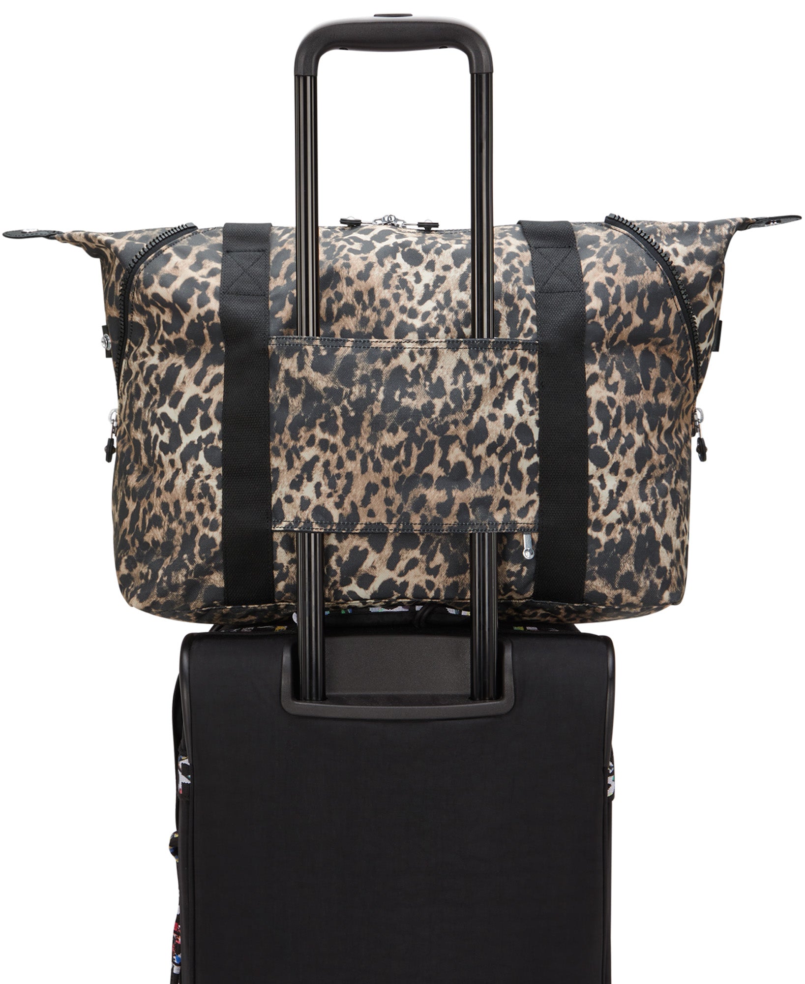 Wild Leopard