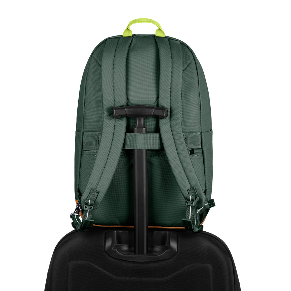 Spruce Green