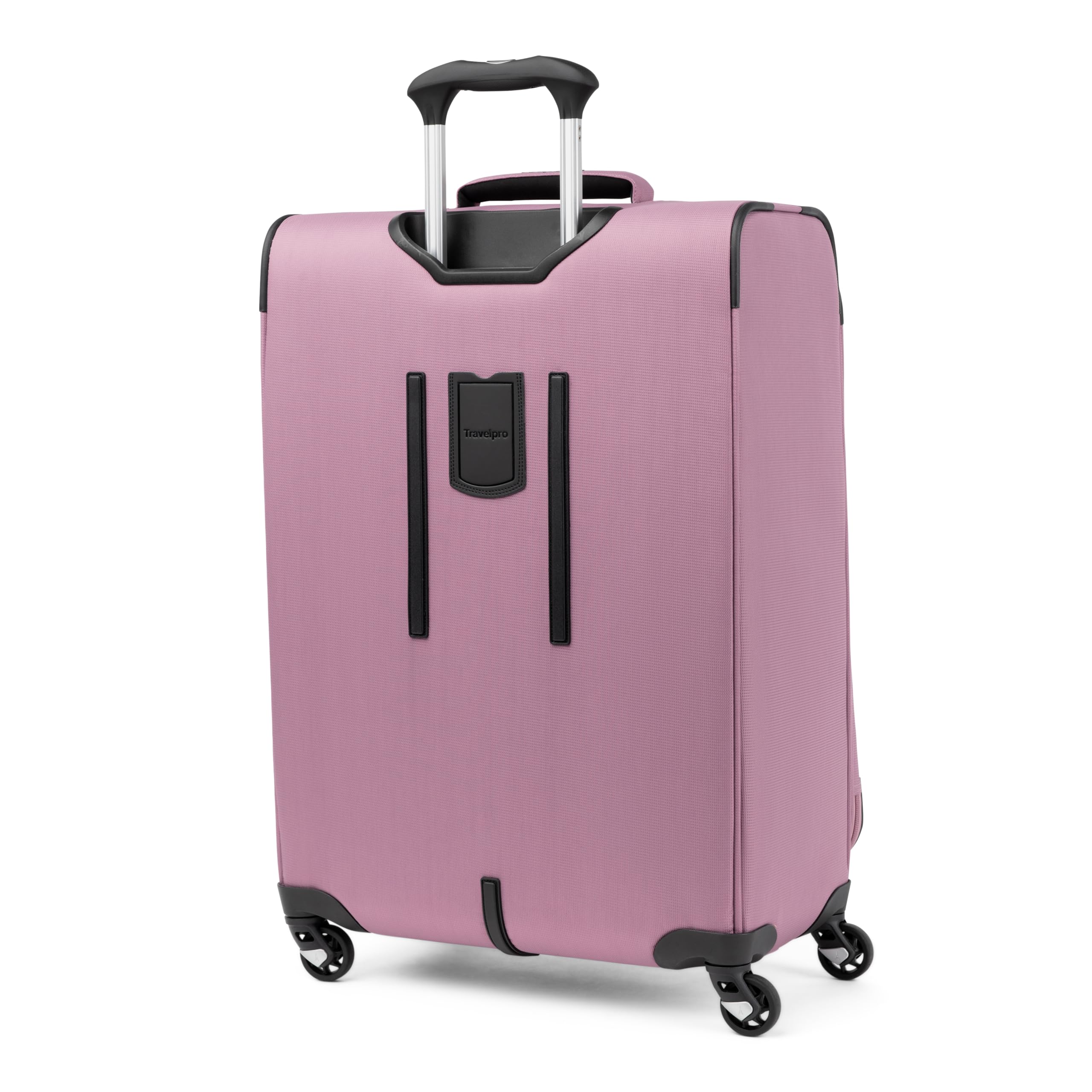 Orchid Pink Purple