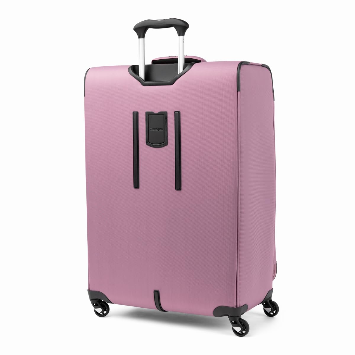 Orchid Pink Purple