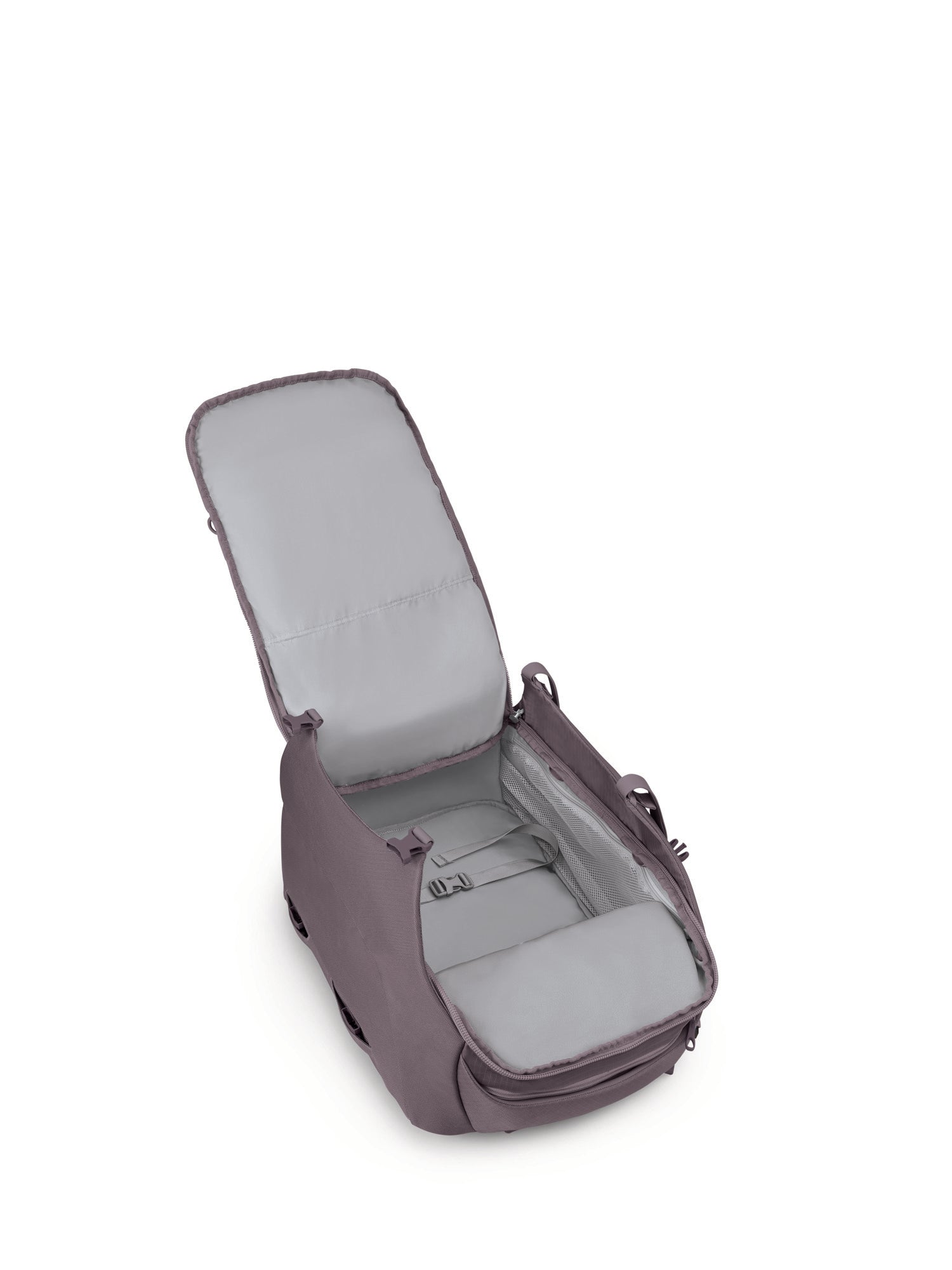 Graphite Purple