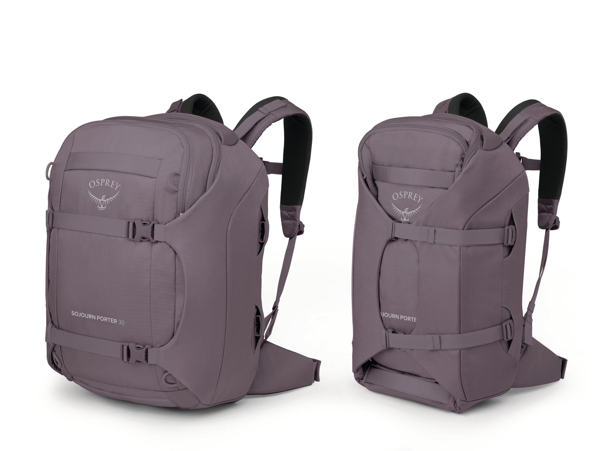 Graphite Purple