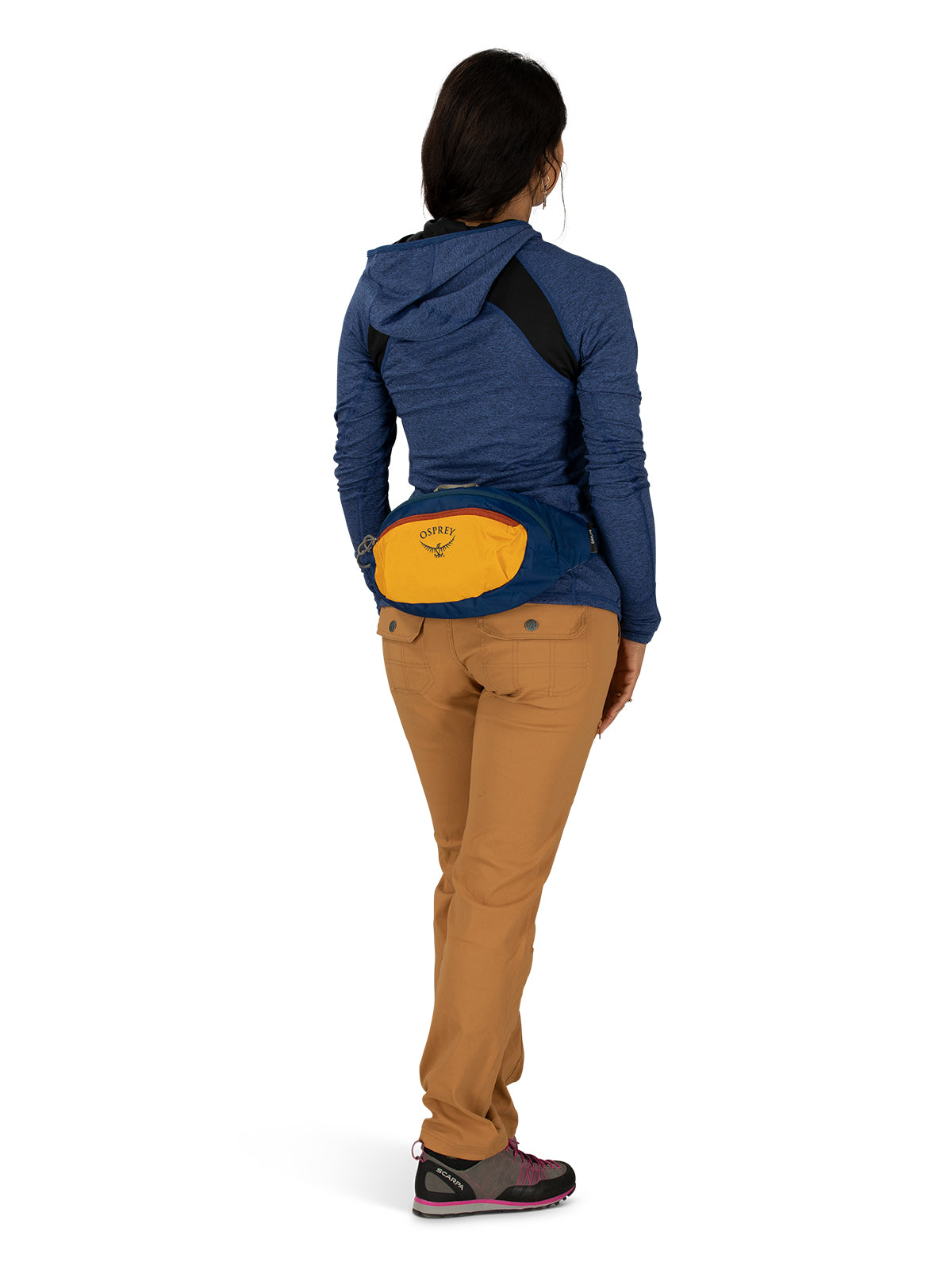 Honeybee Yellow/Deep Sea Blue