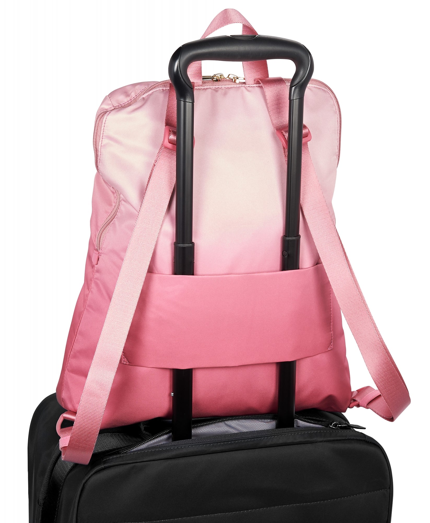 Pink Ombre