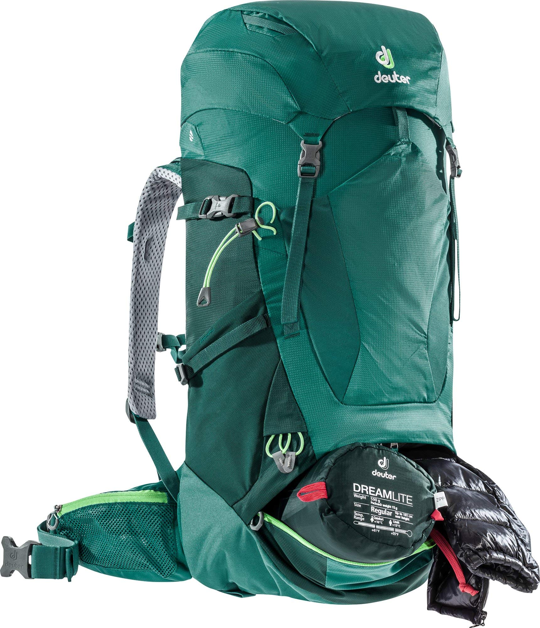 Sea Green/Forest
