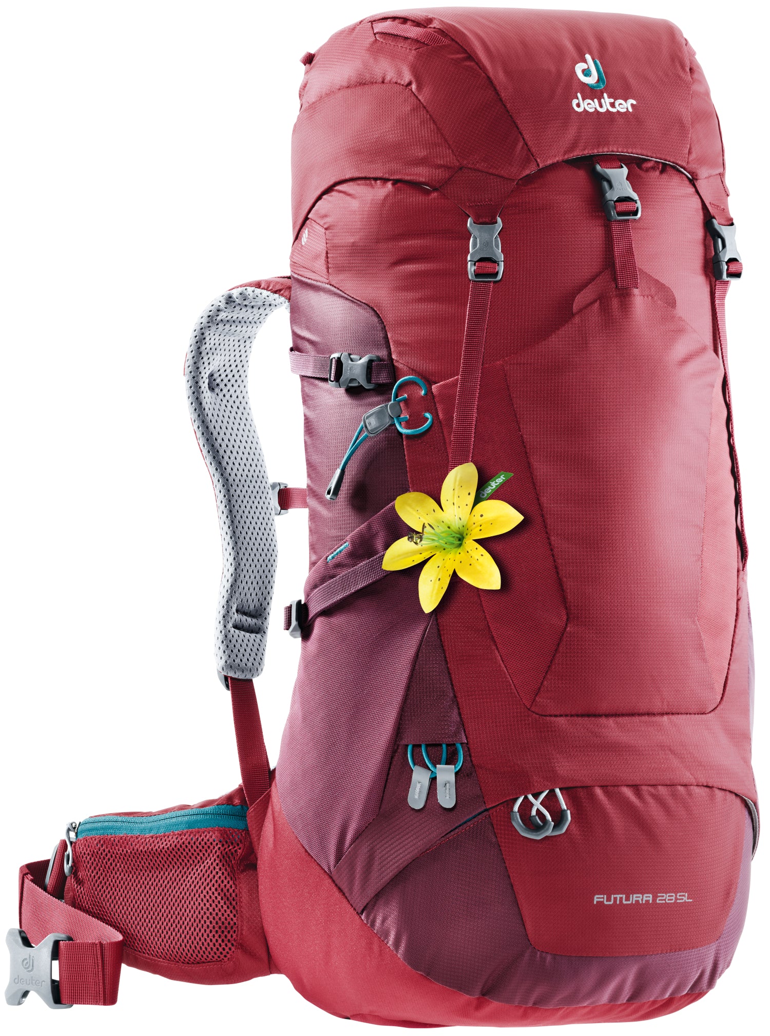 Cranberry/Maroon