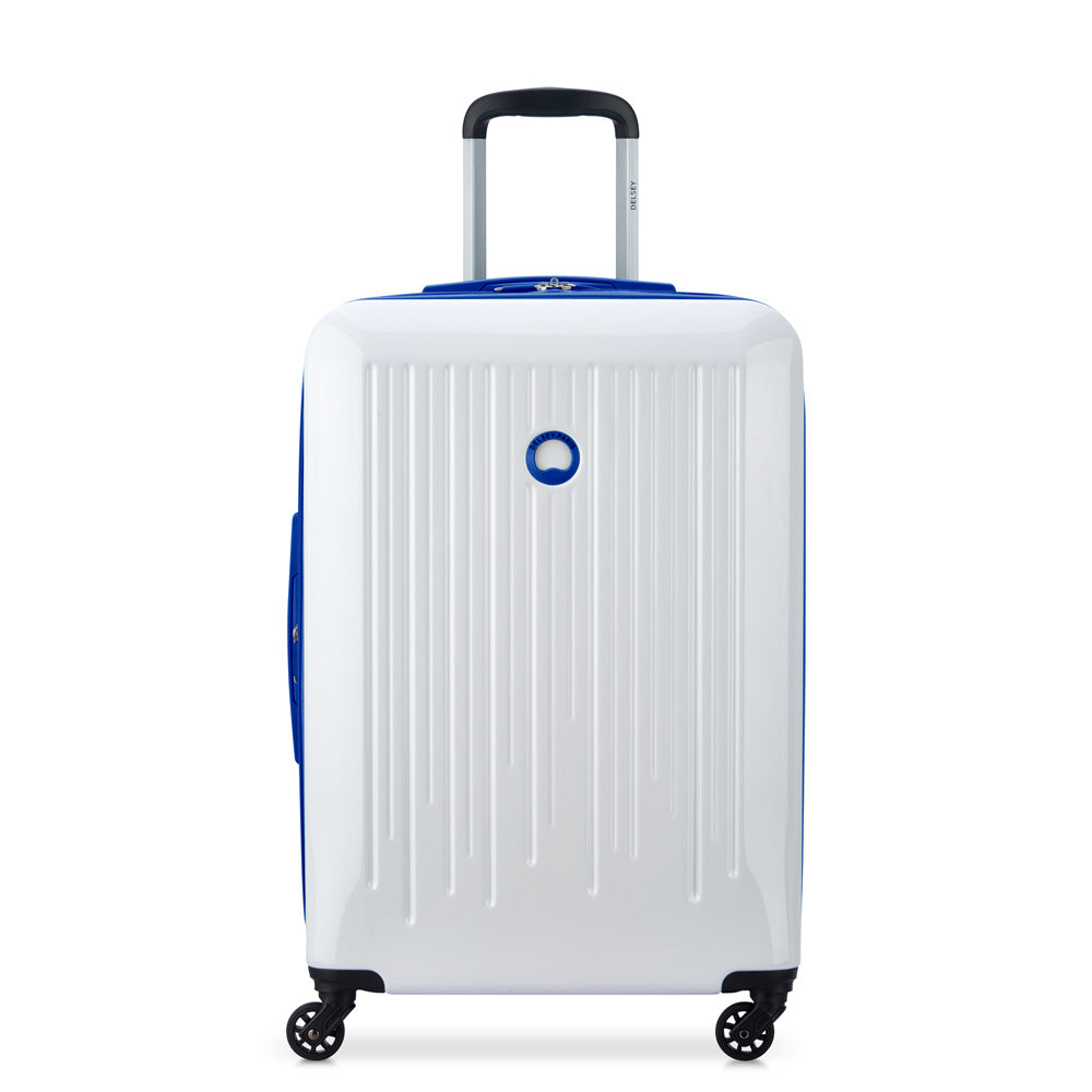 White with Blue trim / 24 inch Checked Medium