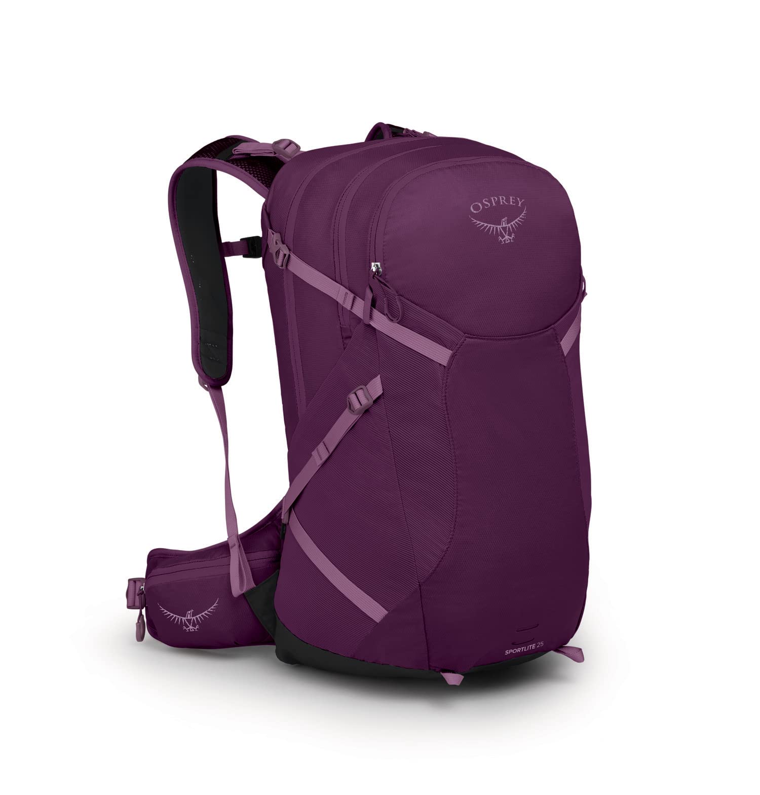 Aubergine Purple