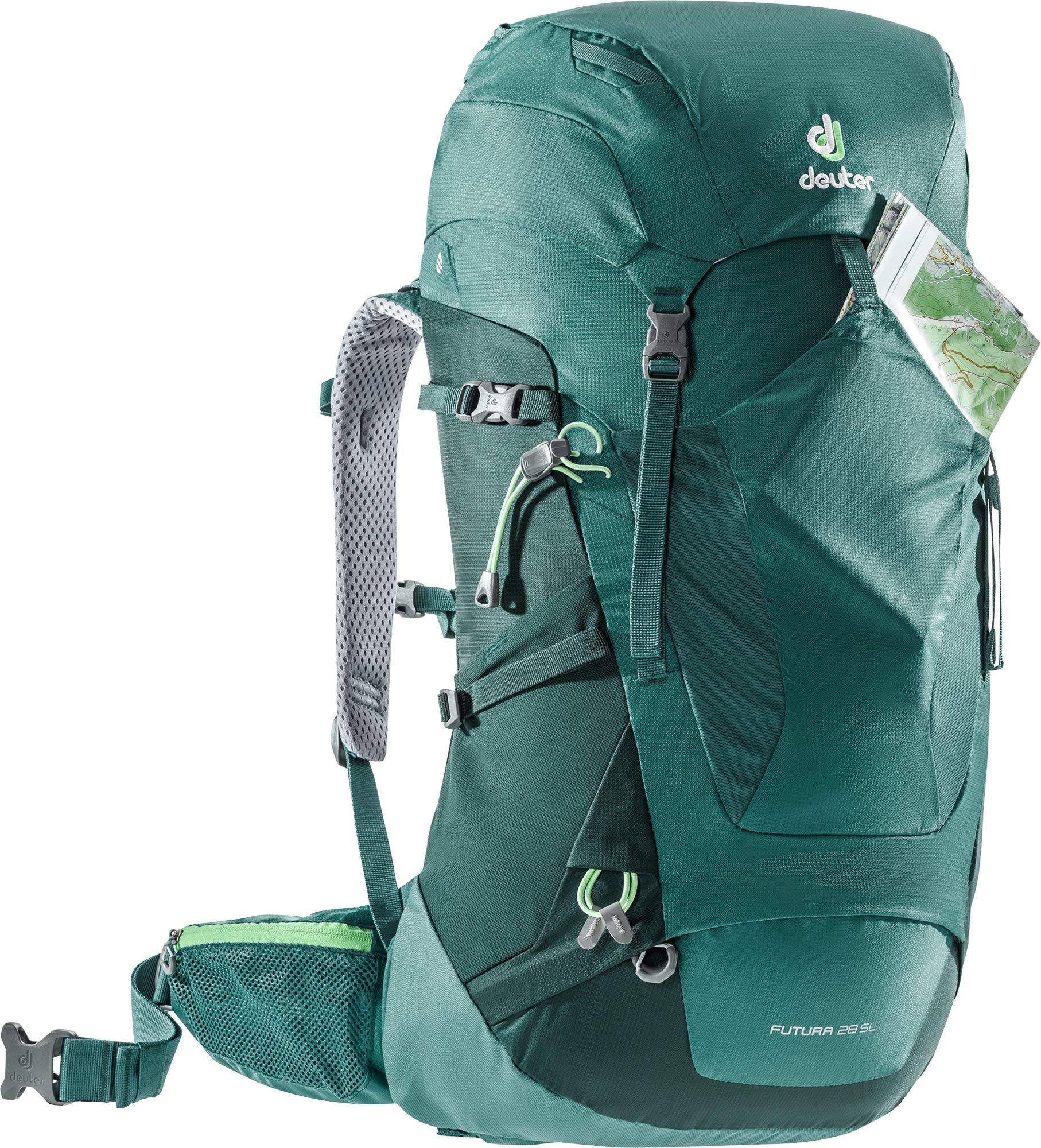 Sea Green/Forest