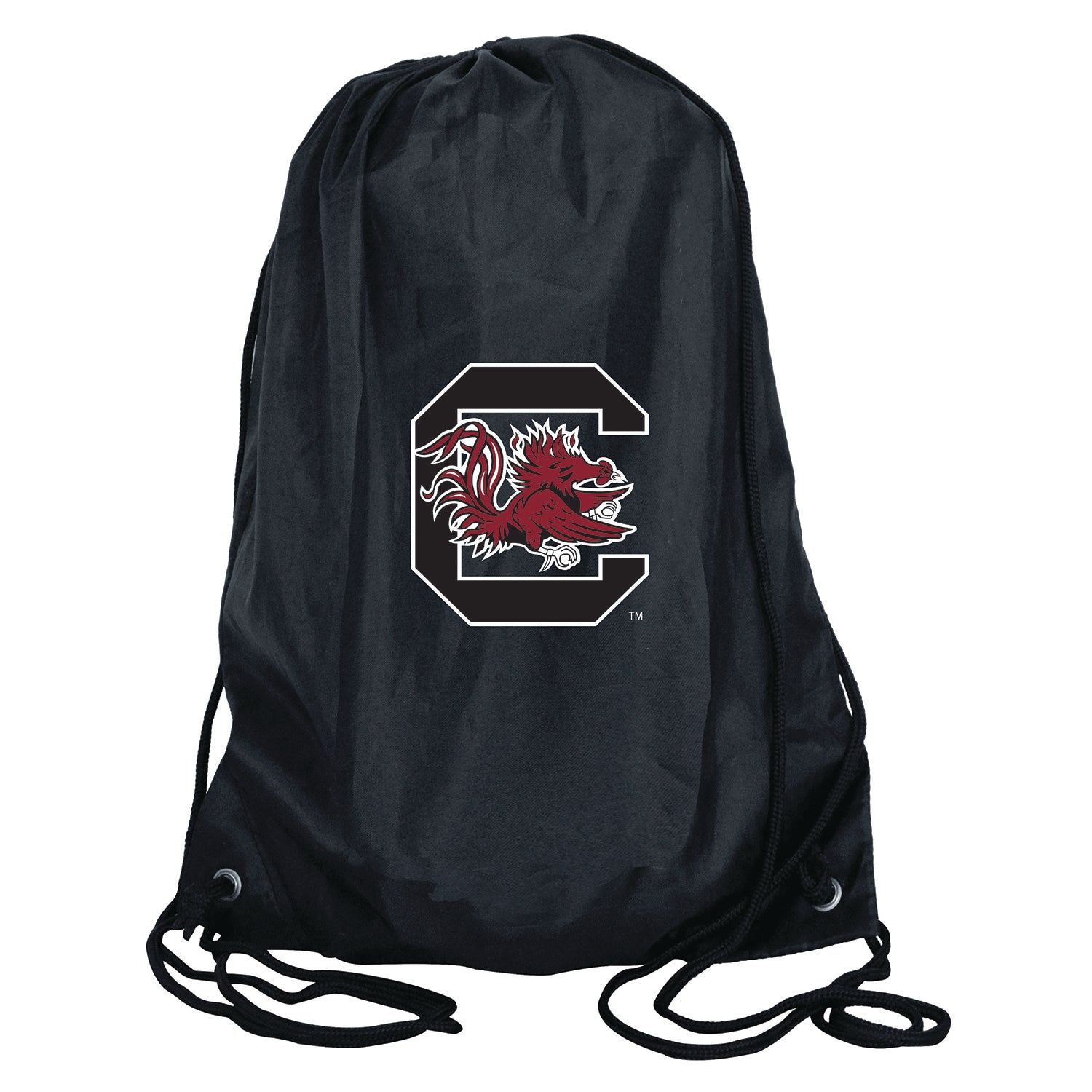 South Carolina Gamecocks