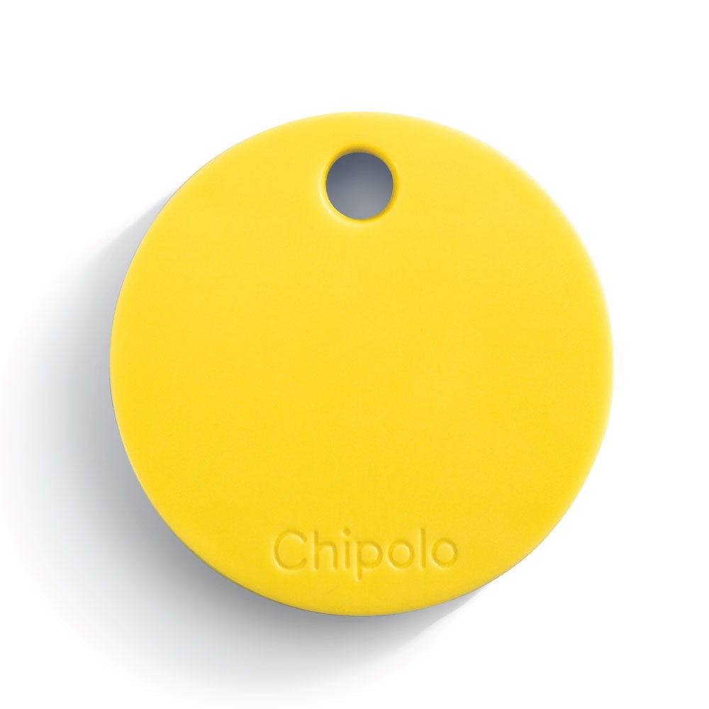 Sunflower Yellow