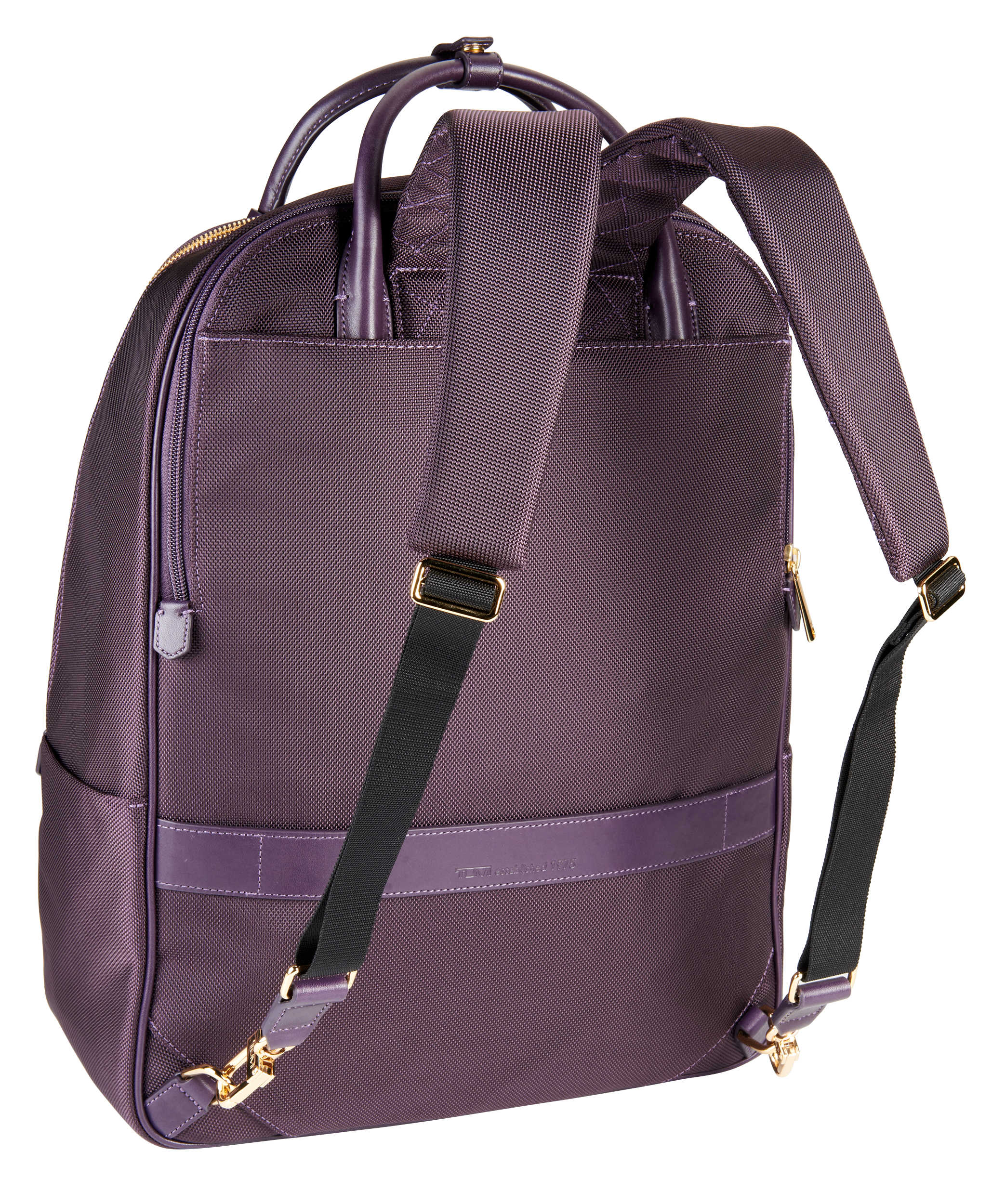 Aubergine