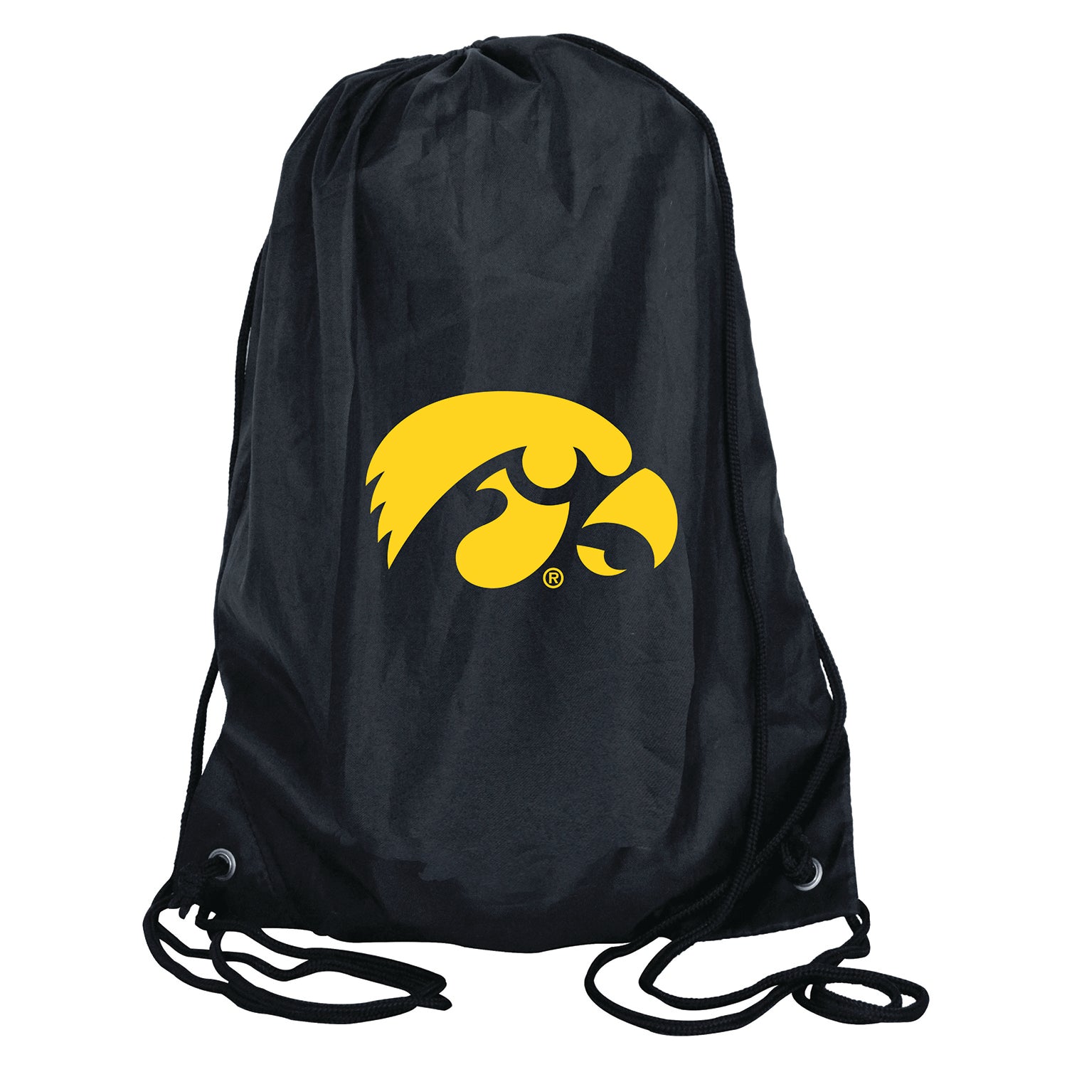 Iowa Hawkeyes