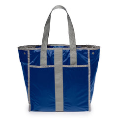 Blue Aster