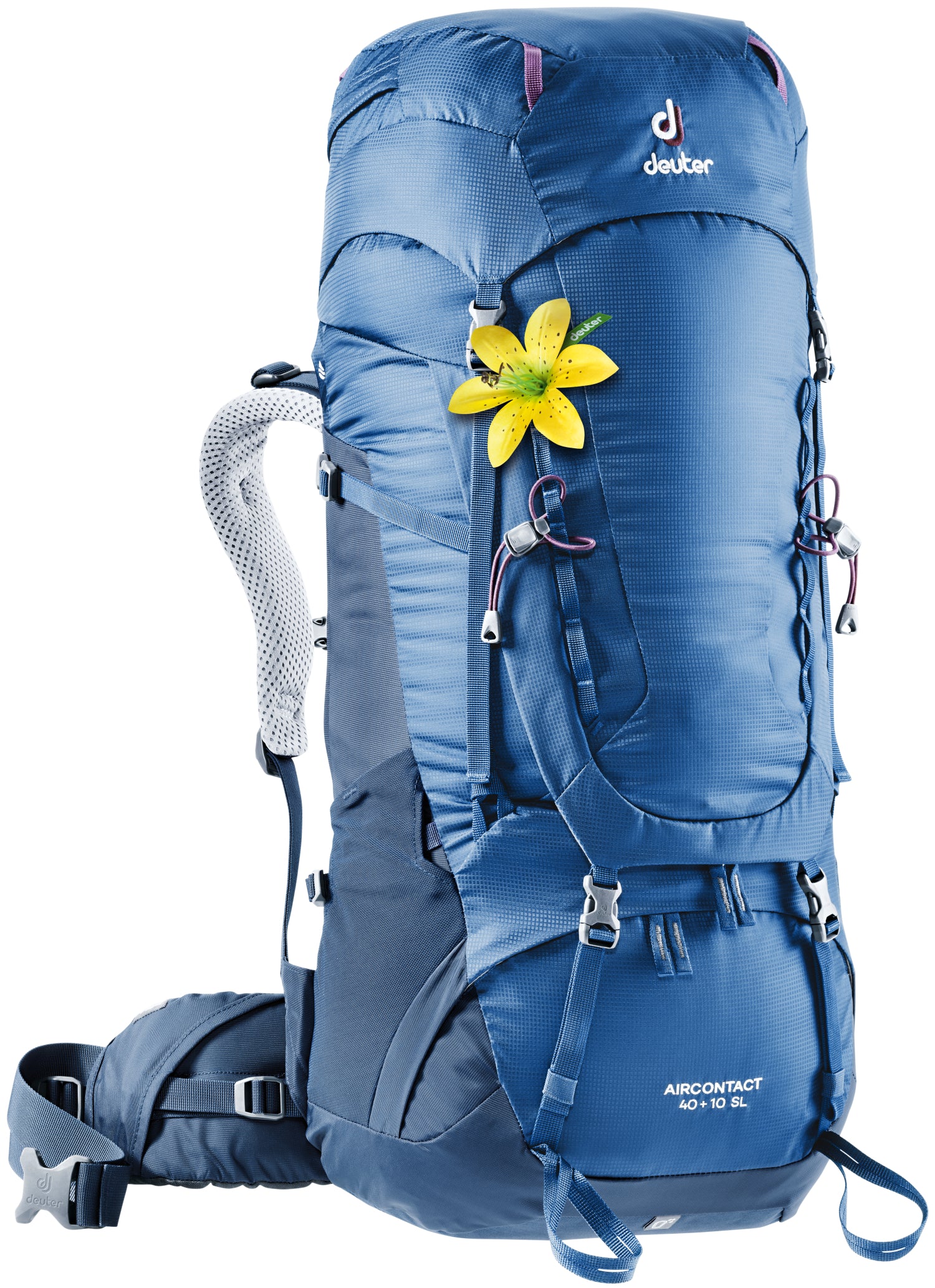 Arctic/Navy