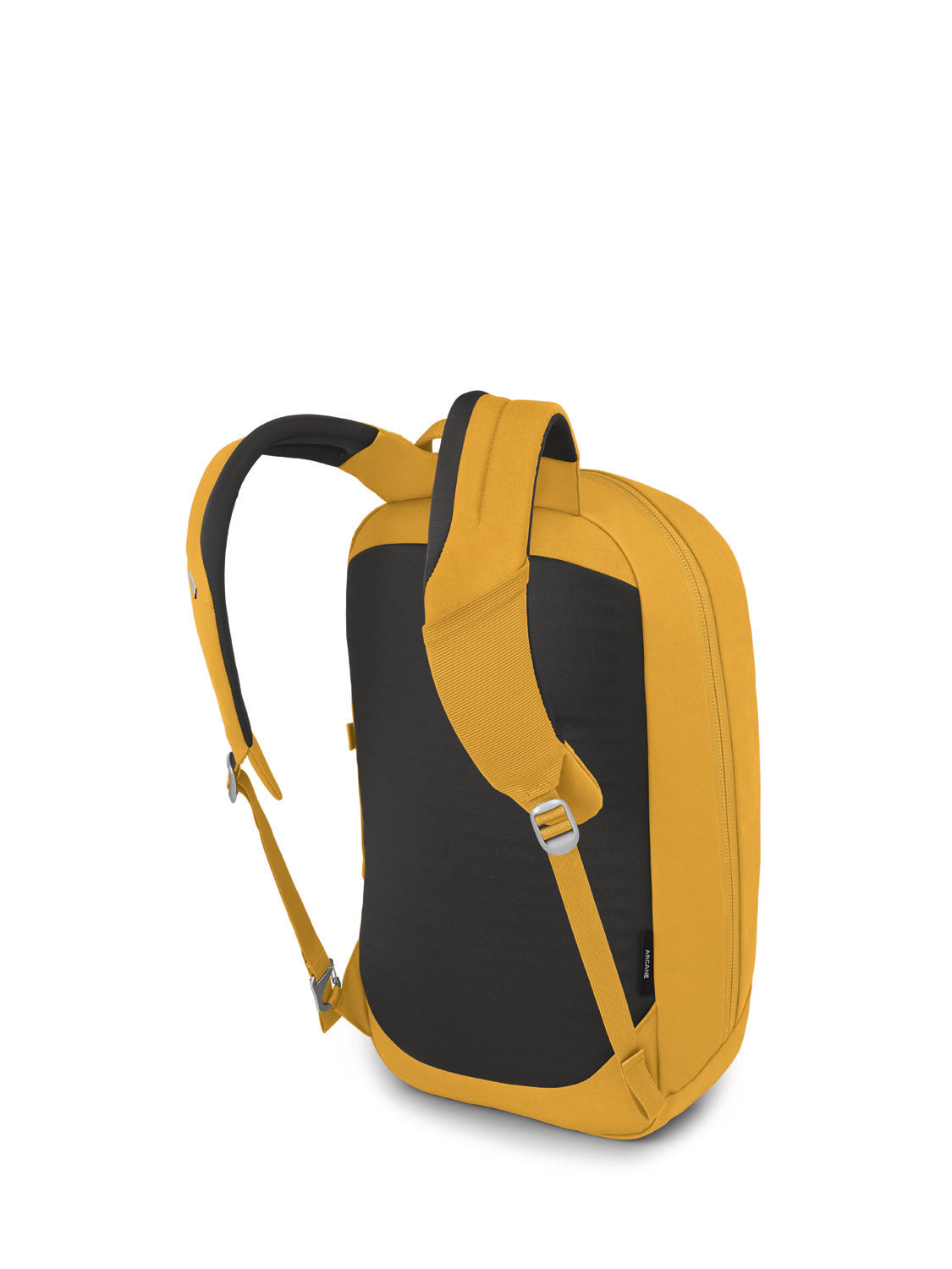 Honeybee Yellow