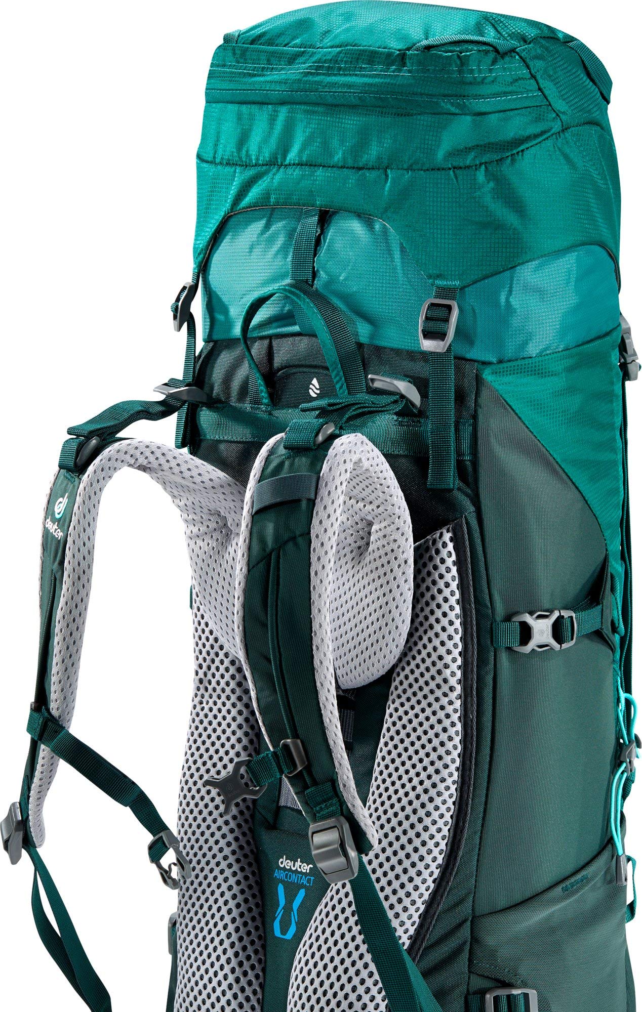 Alpinegreen/Forest