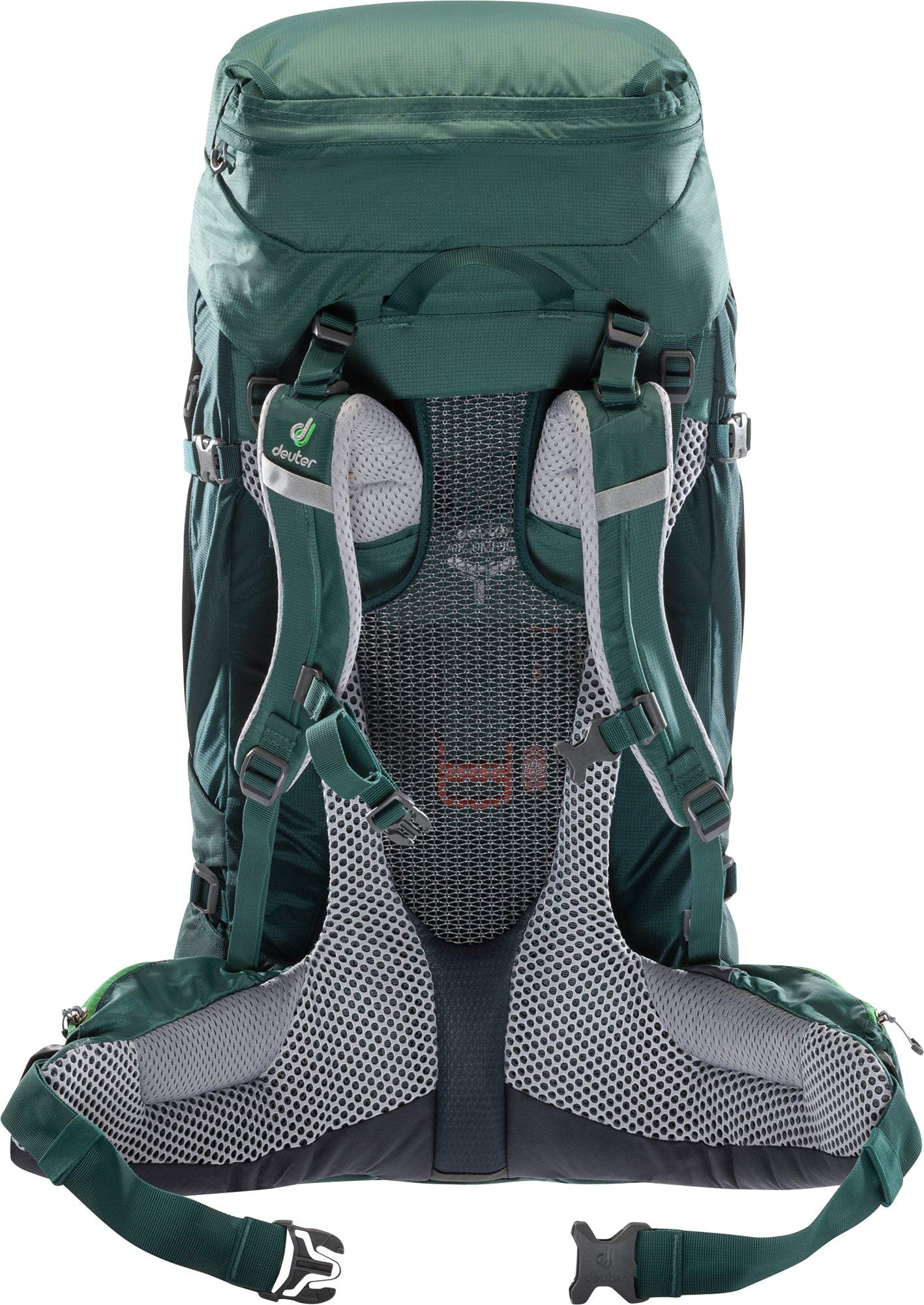 Sea Green/Forest