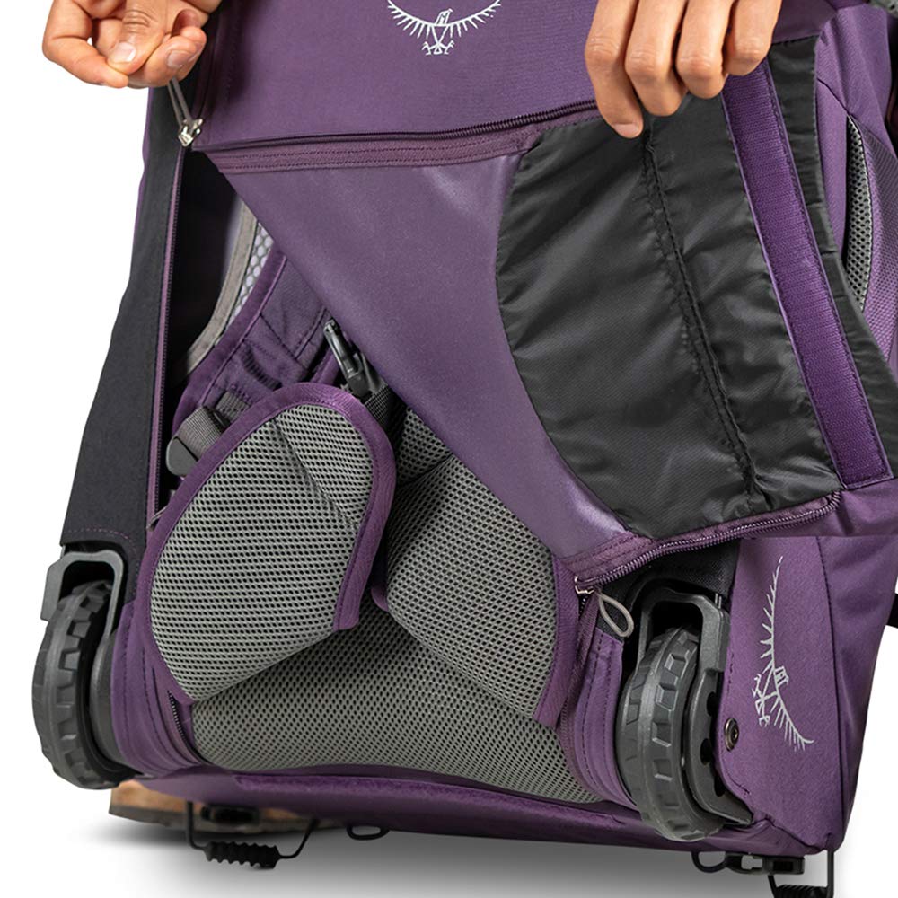 Amulet Purple