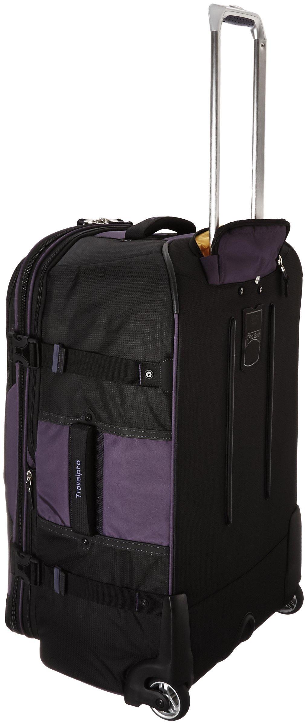 Brillant Purple