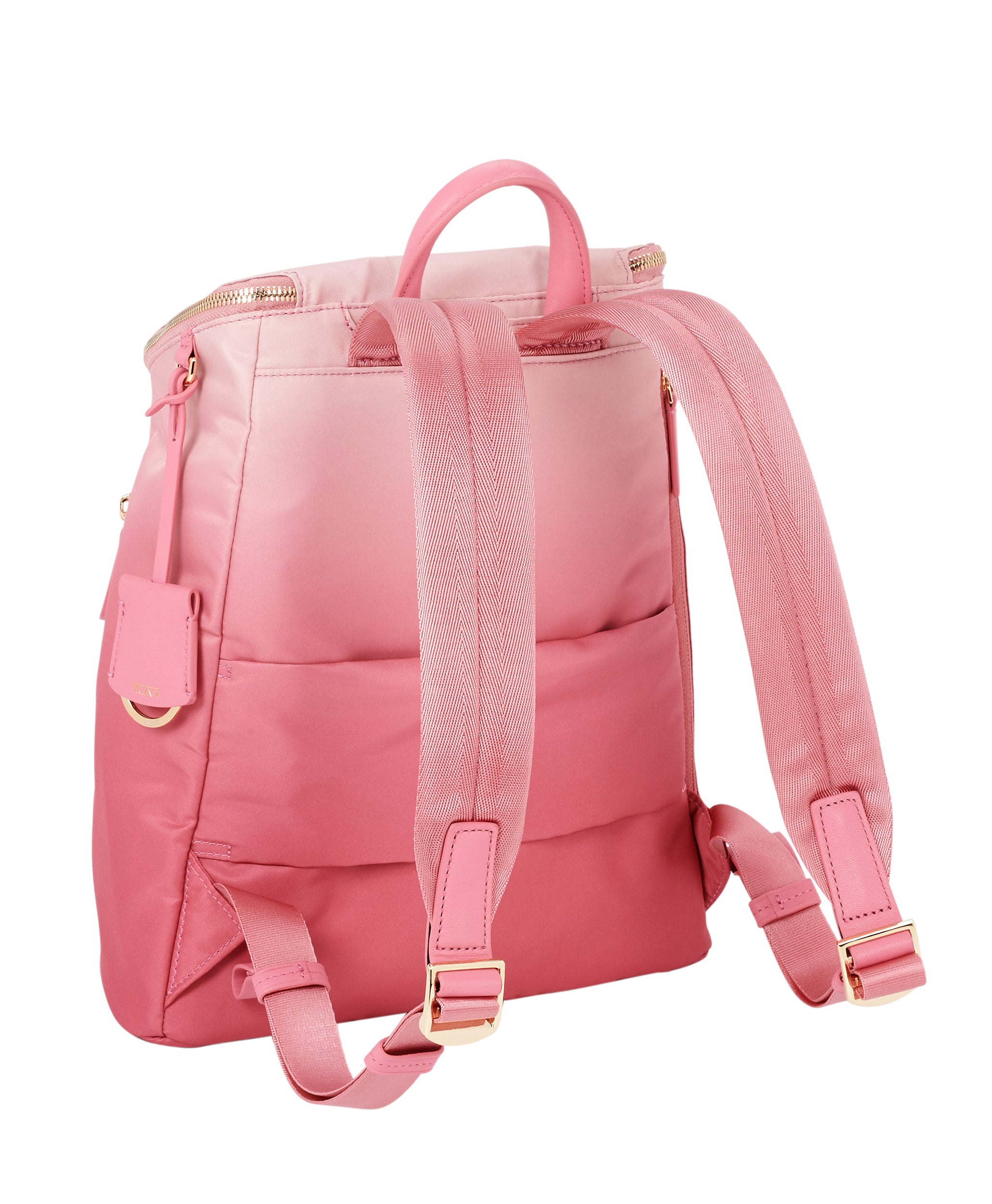 Pink Ombre