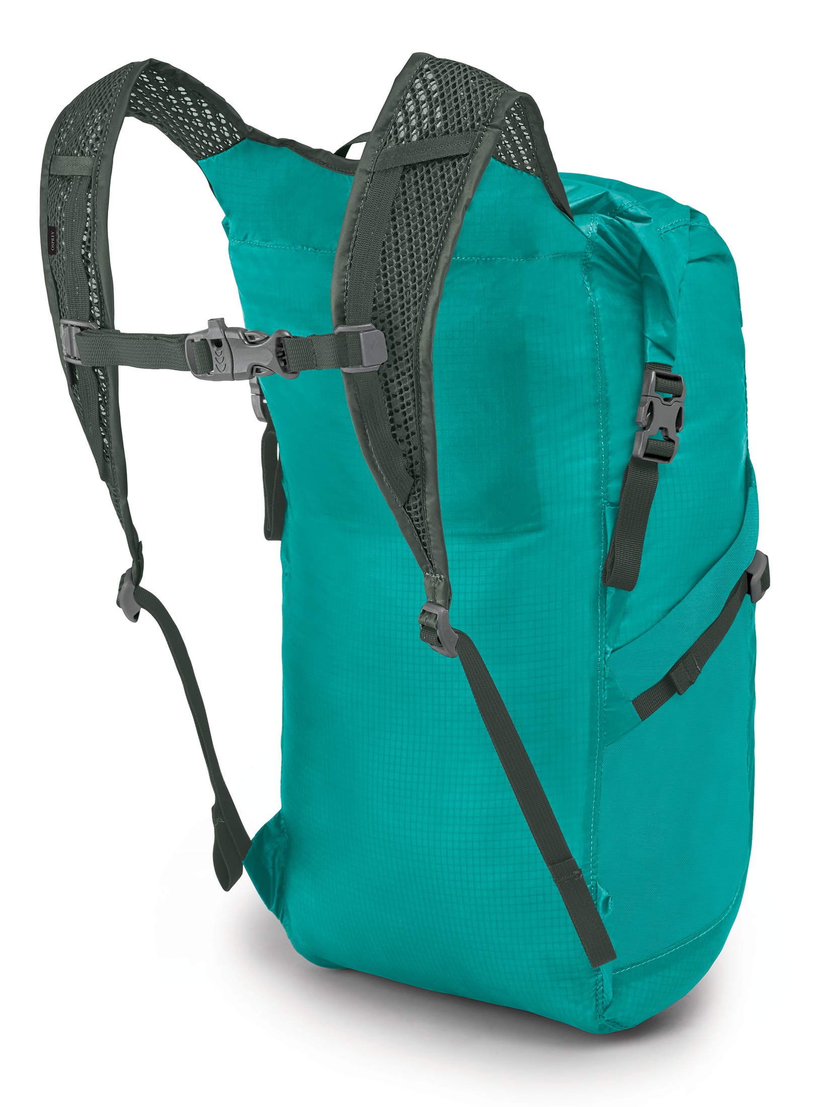 Tropic Teal
