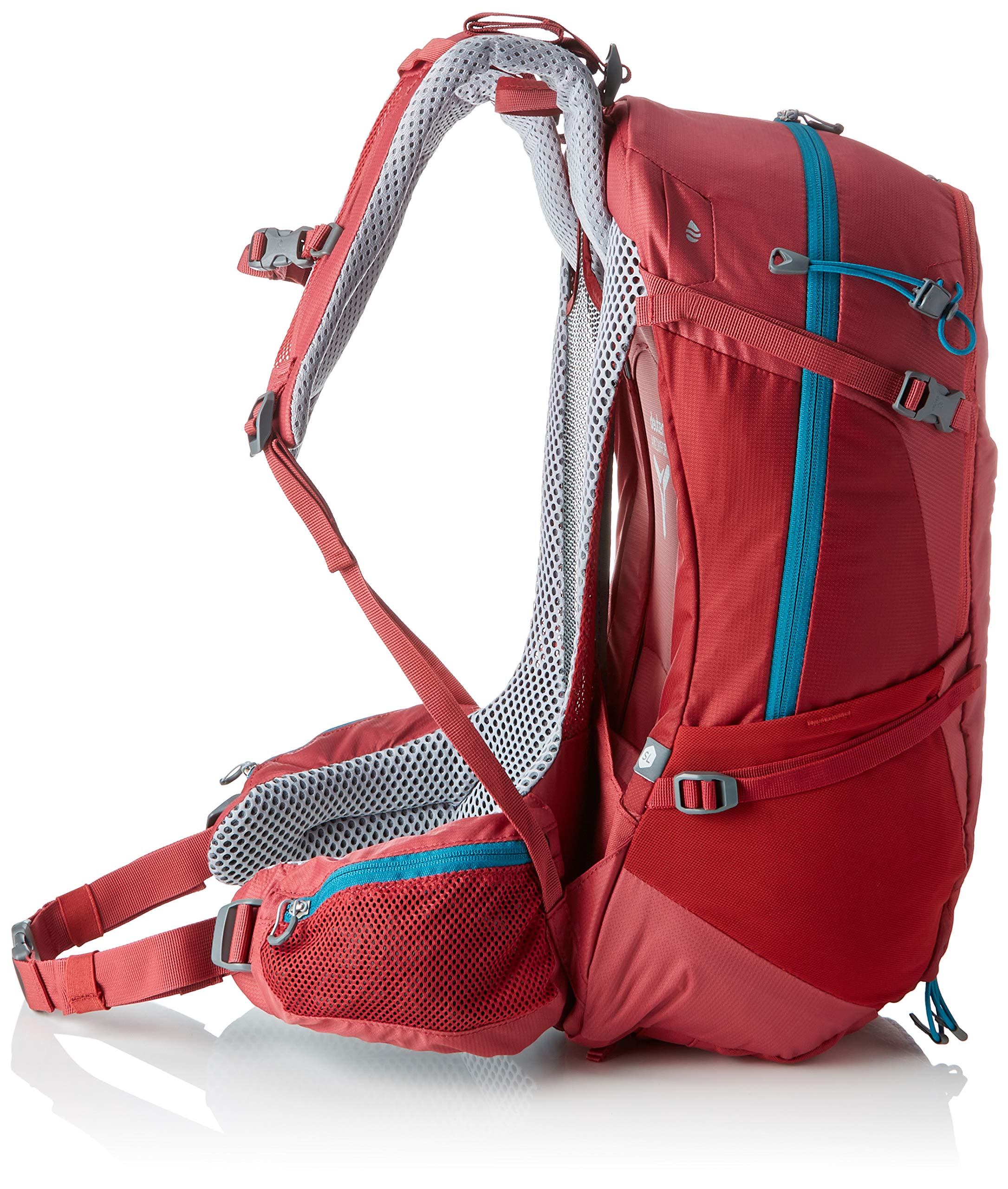 Cardinal/Cranberry