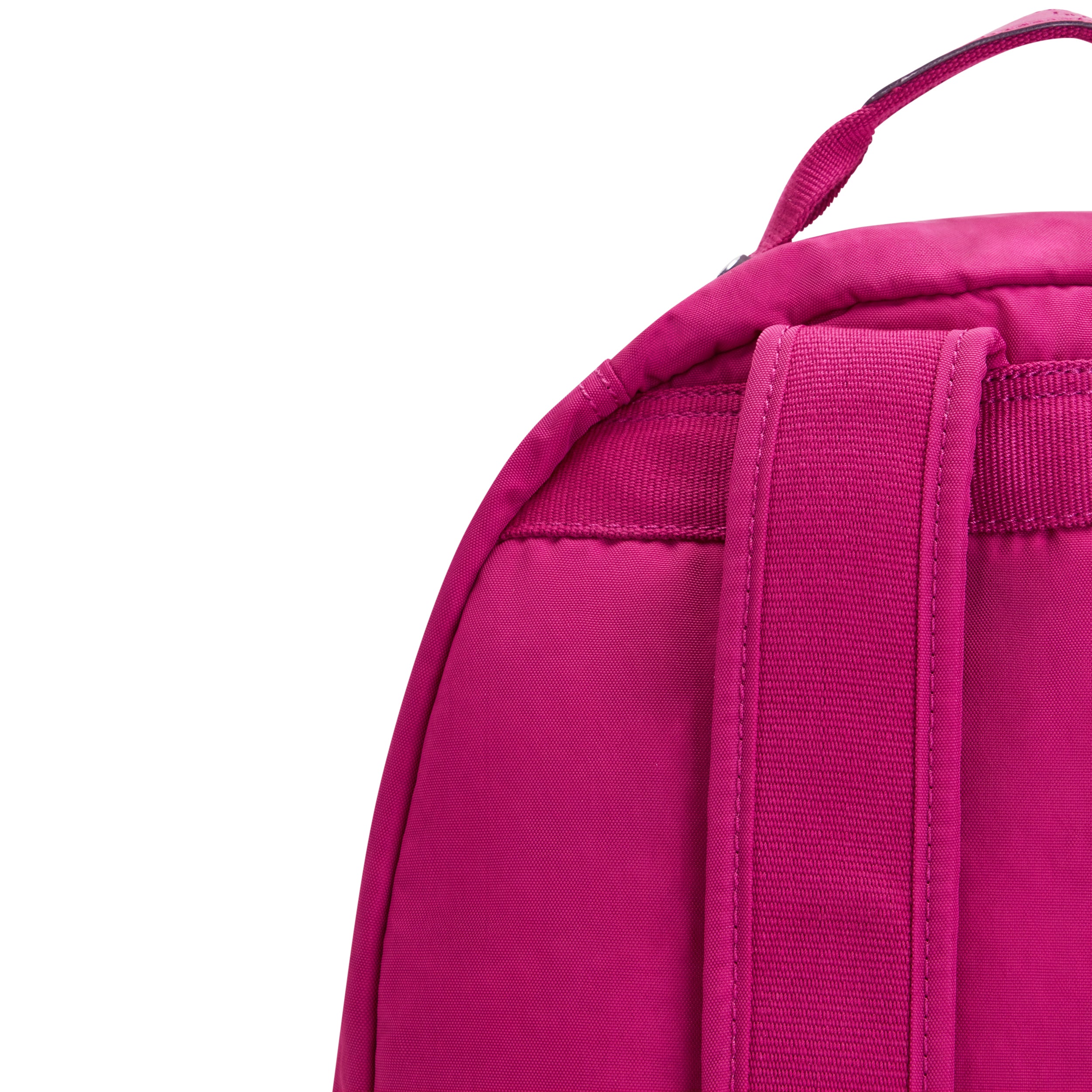 Pink Fuchsia