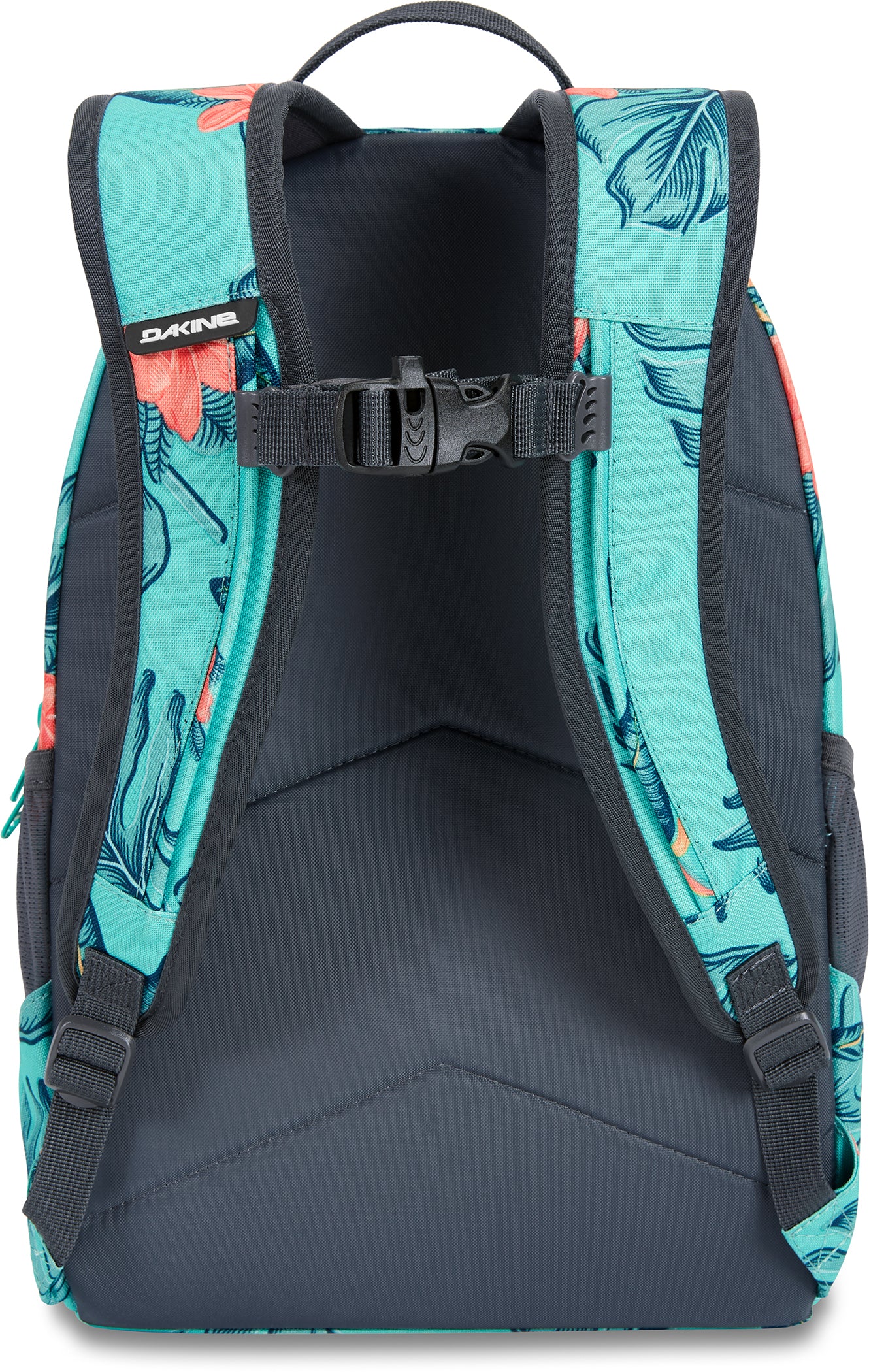 Turquoise Jungle Palm