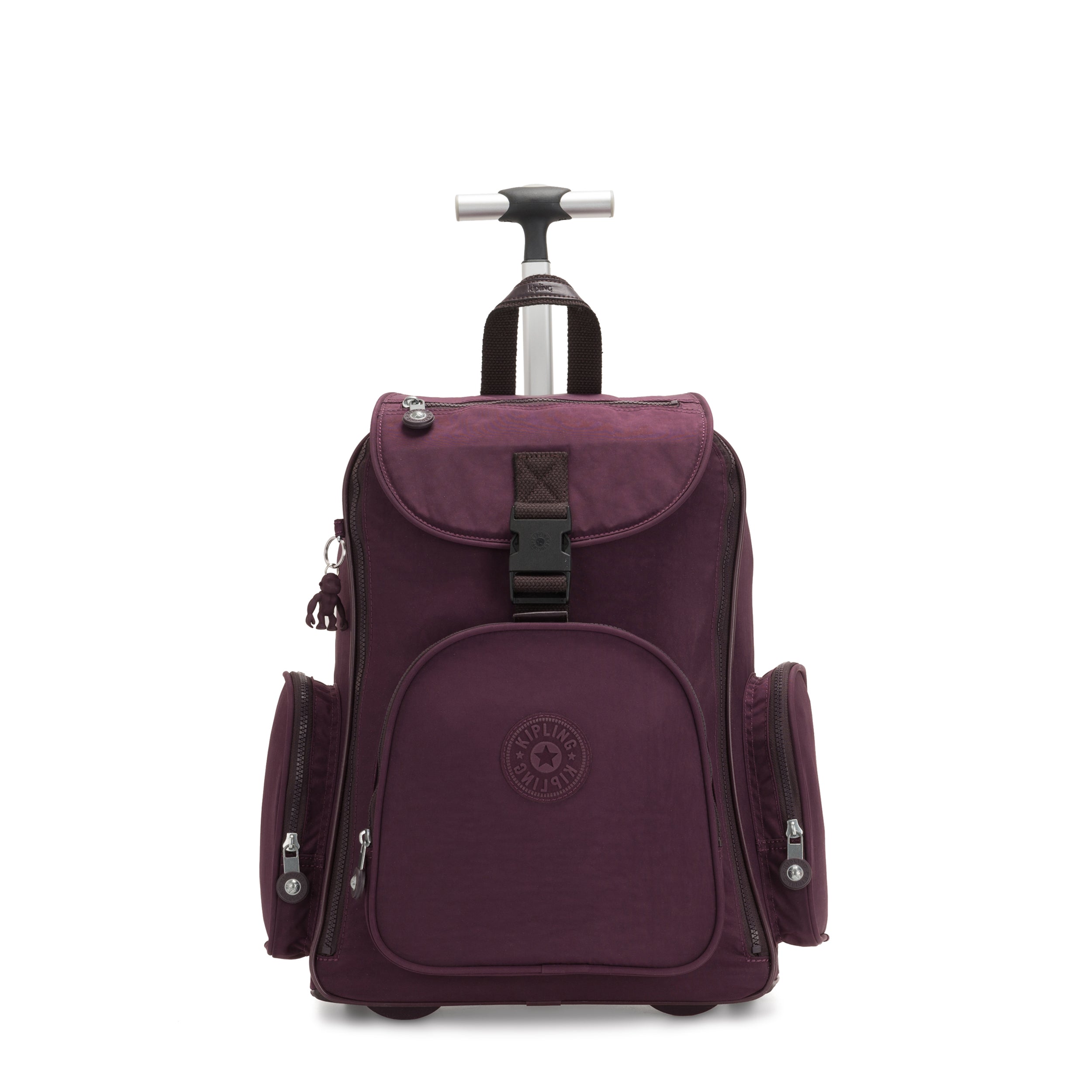 Dark Plum