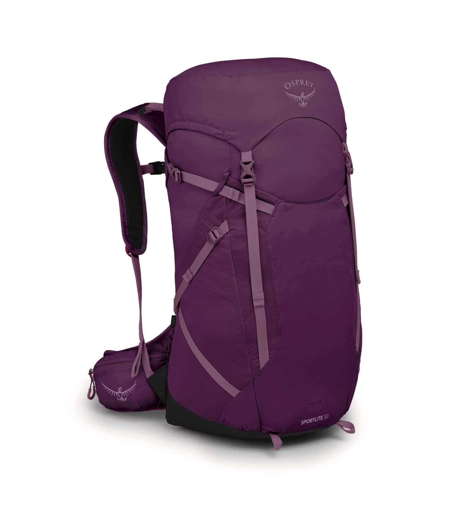 Aubergine Purple