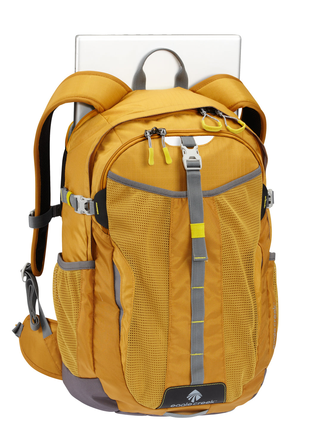 Ochre