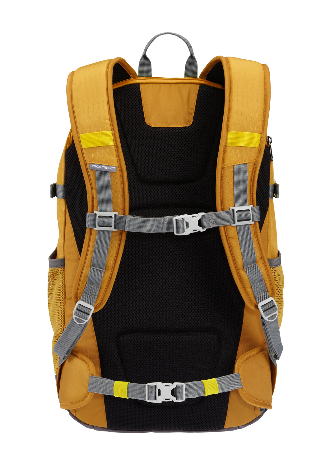 Ochre