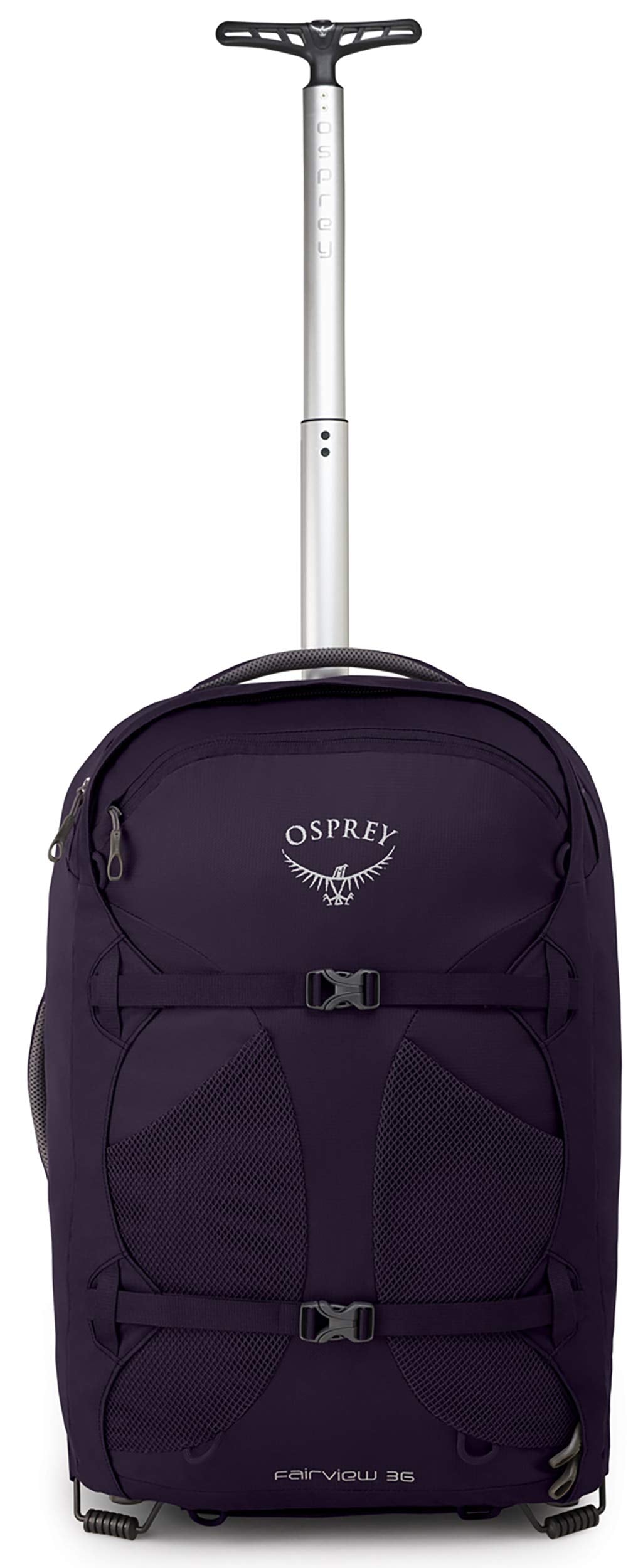 Amulet Purple